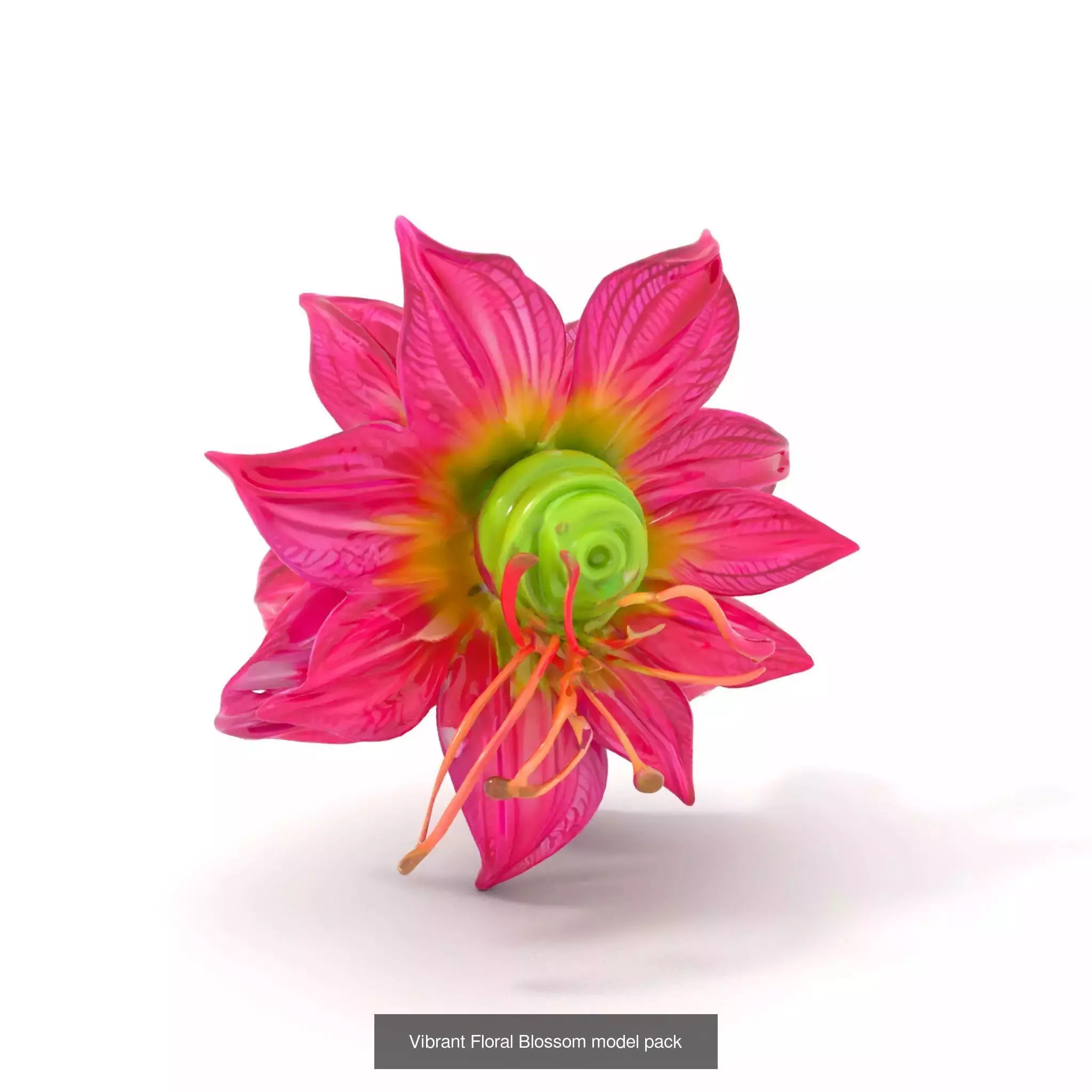 Extraterrestrial Flora Collection _45