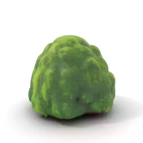 Lush Green Moss model pack Texture
