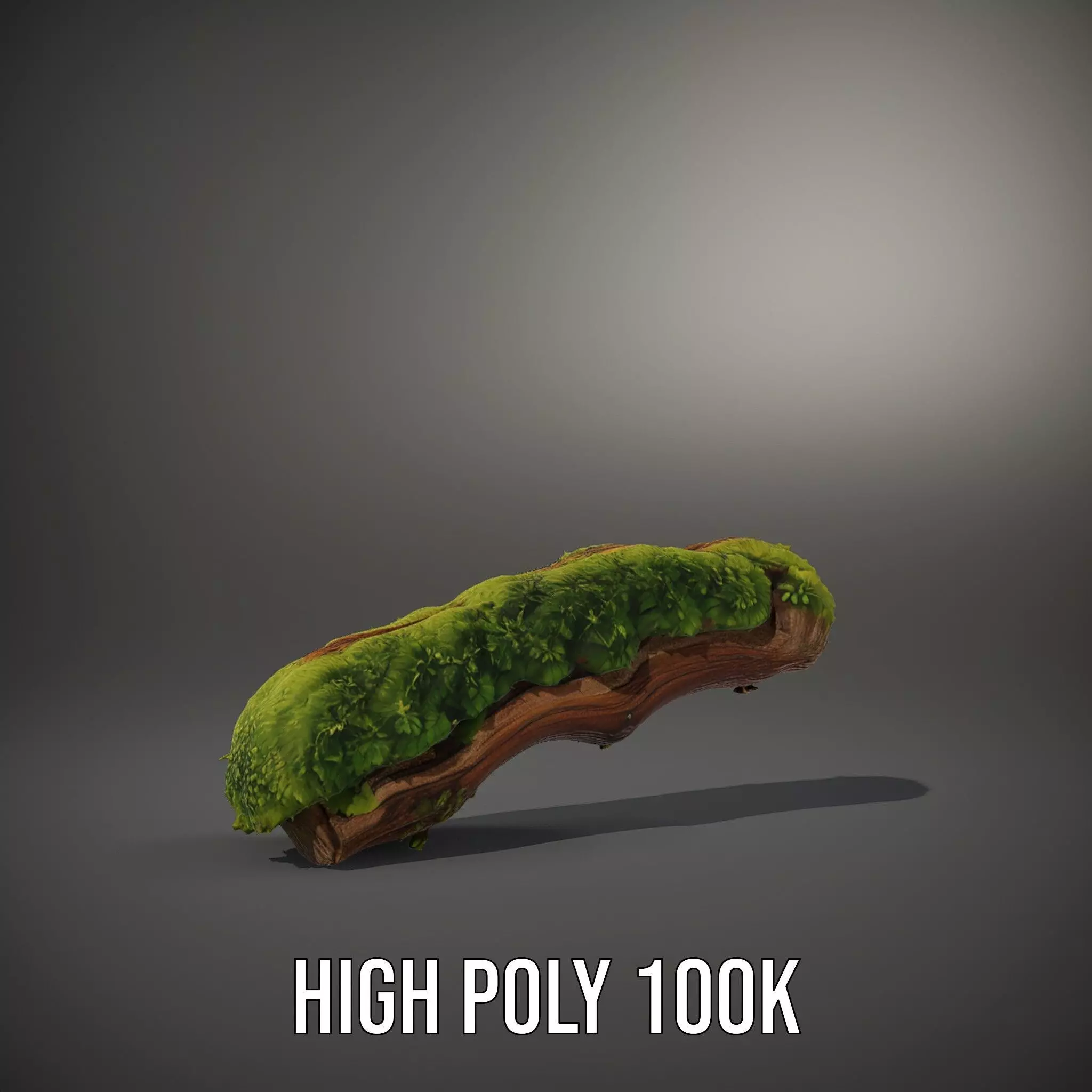 Mossy Wood Stick model pack Low-poly 3D model_8