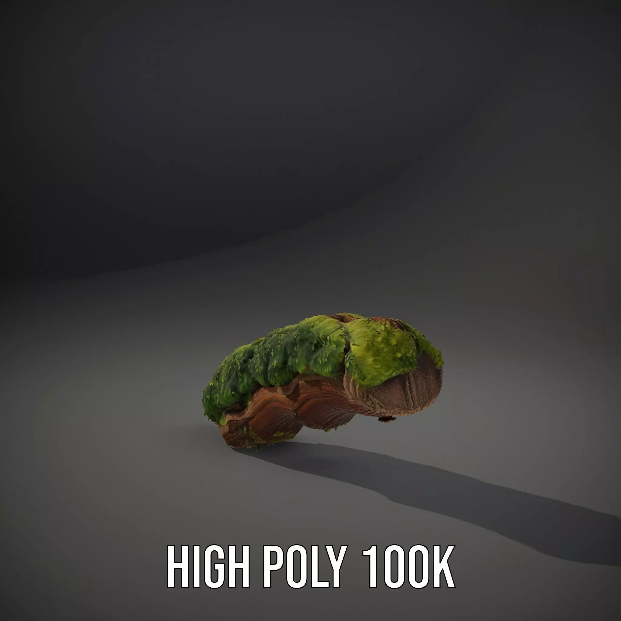 Mossy Wood Stick model pack Low-poly 3D model_10