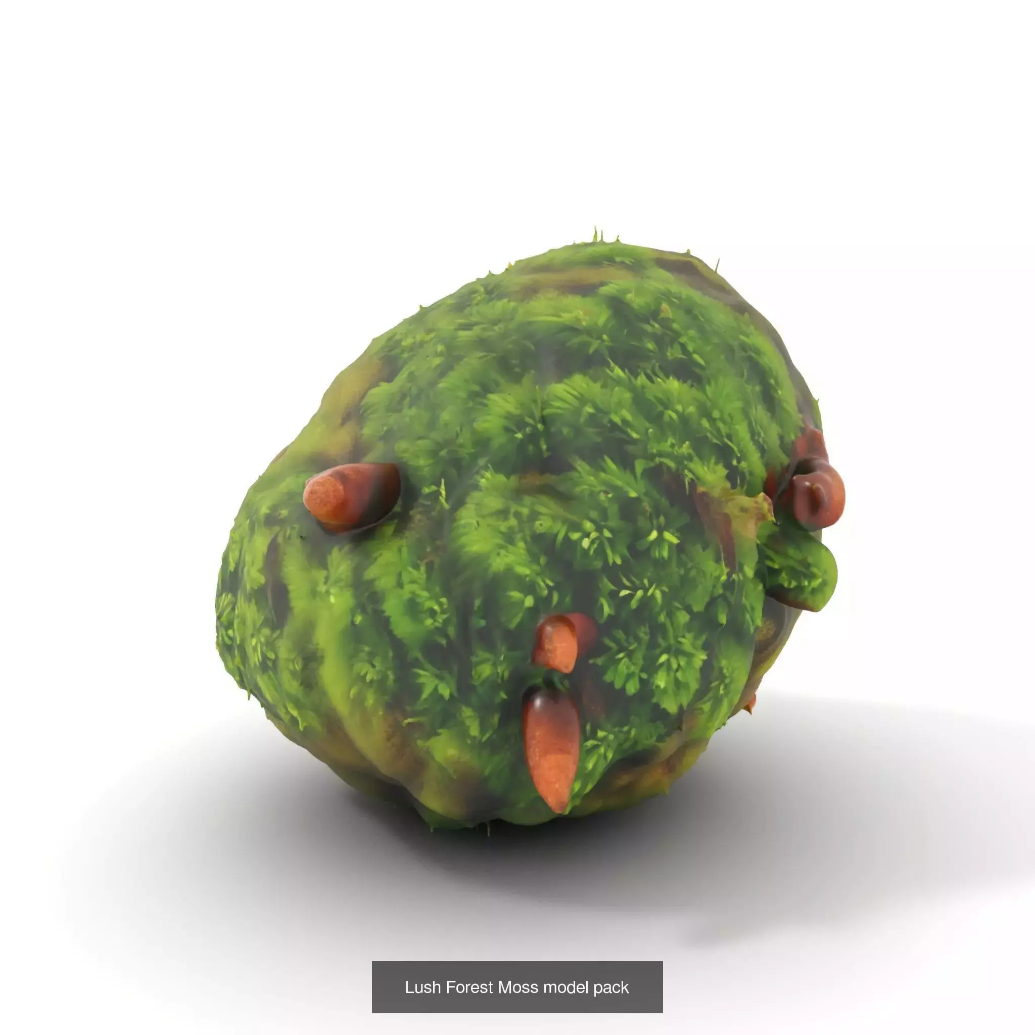 Moss Biome Models Pack 3D Model Collection_39