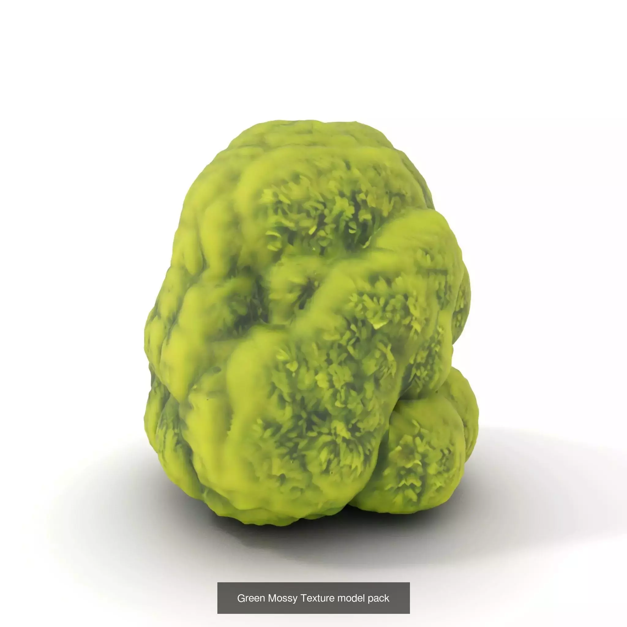 Moss Biome Models Pack 3D Model Collection_33