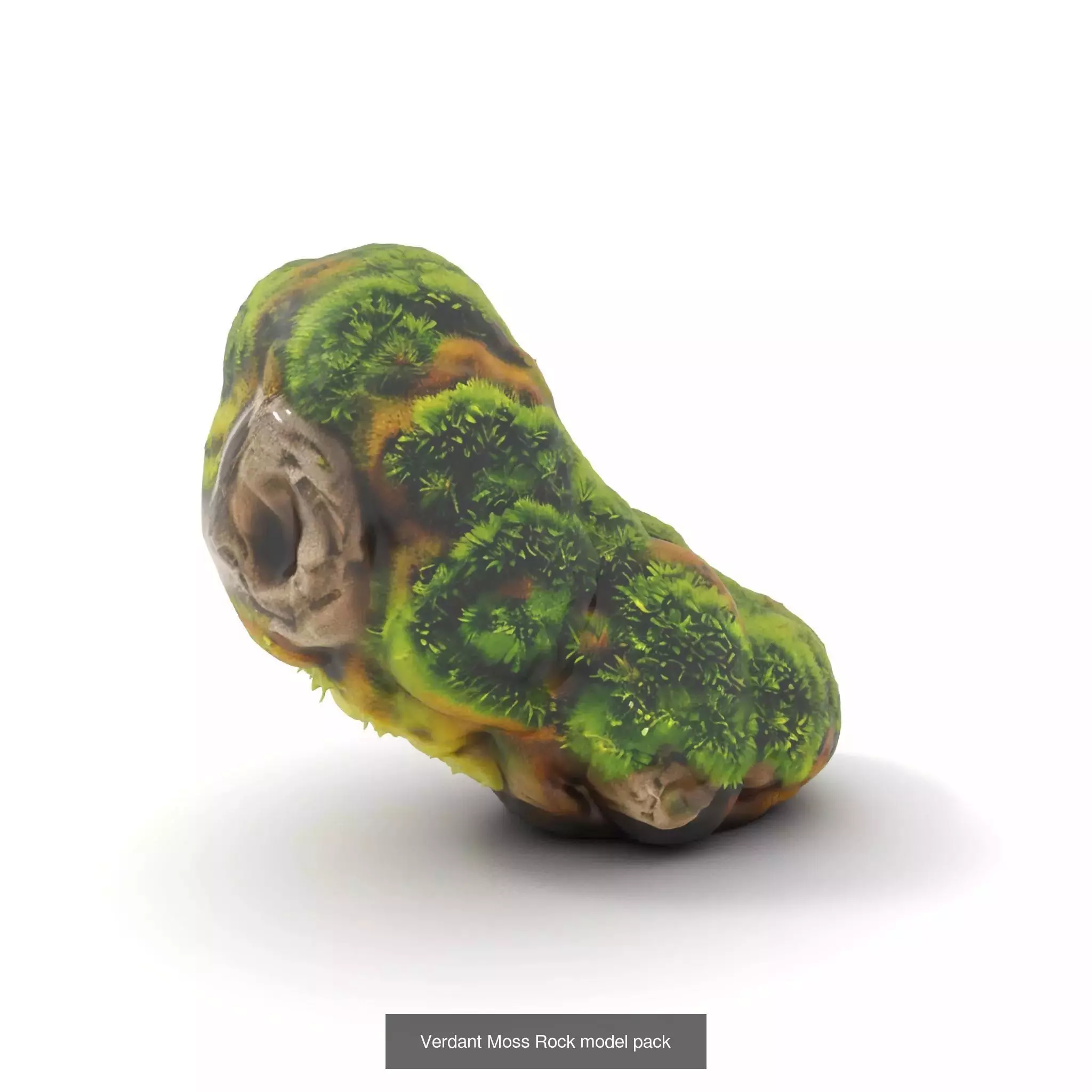 Moss Biome Models Pack 3D Model Collection_40