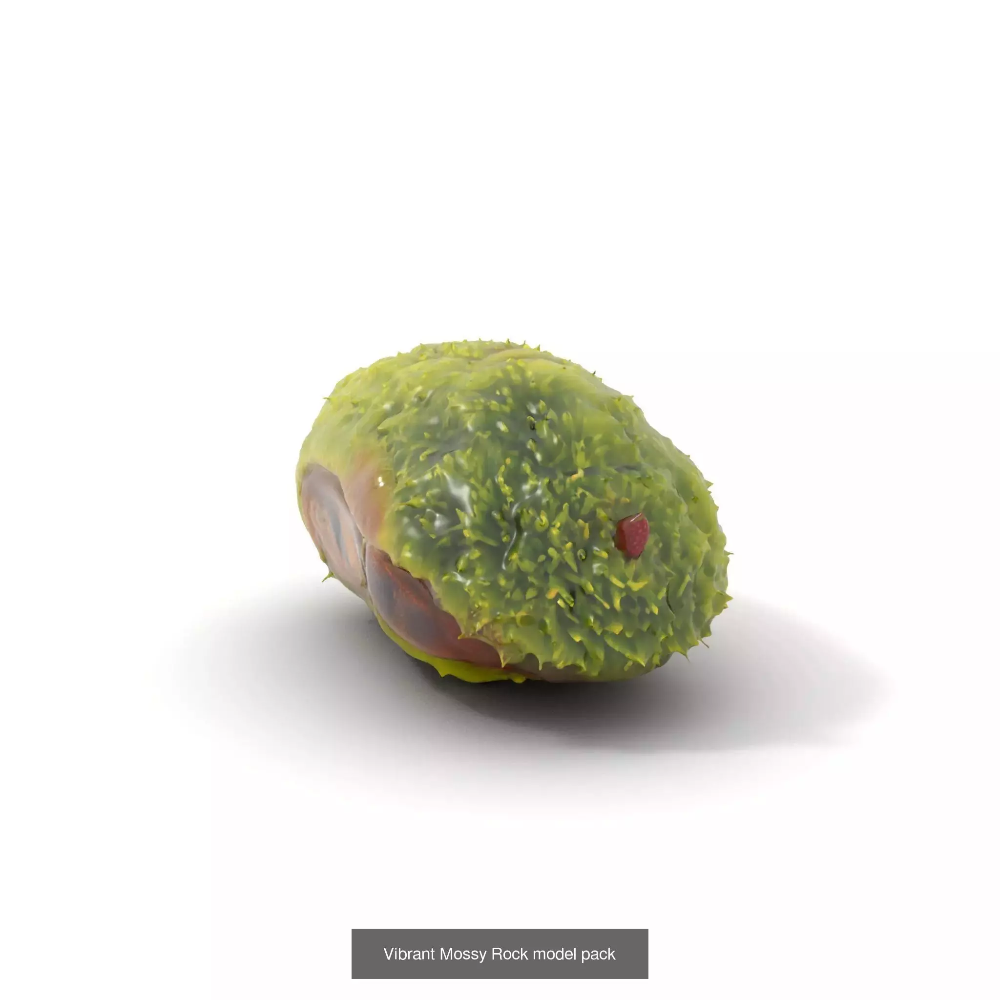 Moss Biome Models Pack 3D Model Collection_49