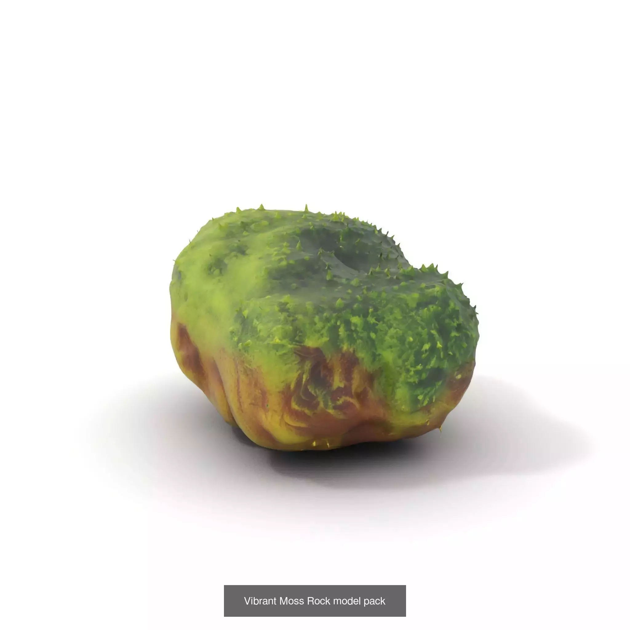 Moss Biome Models Pack 3D Model Collection_35