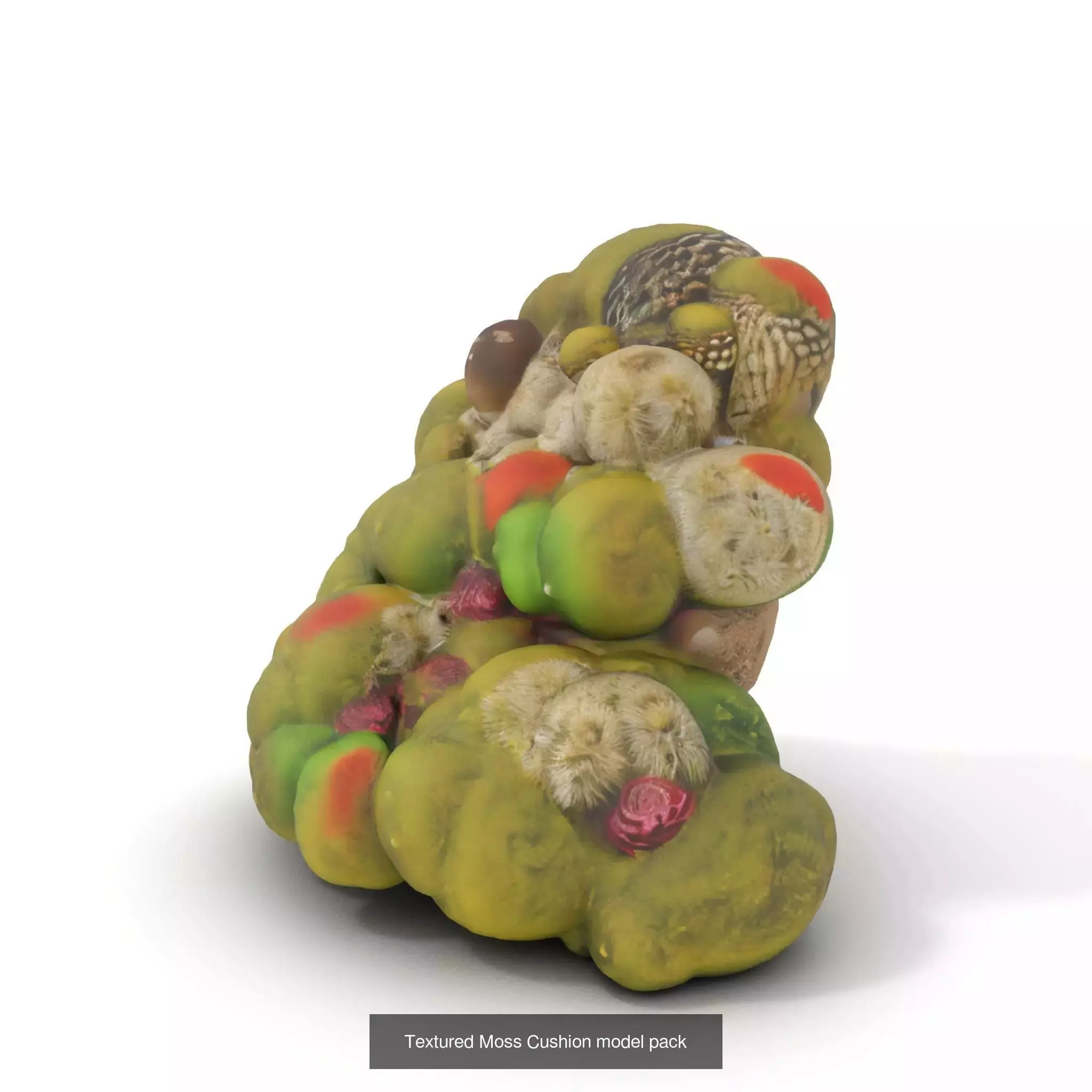 Moss Biome Models Pack 3D Model Collection_34