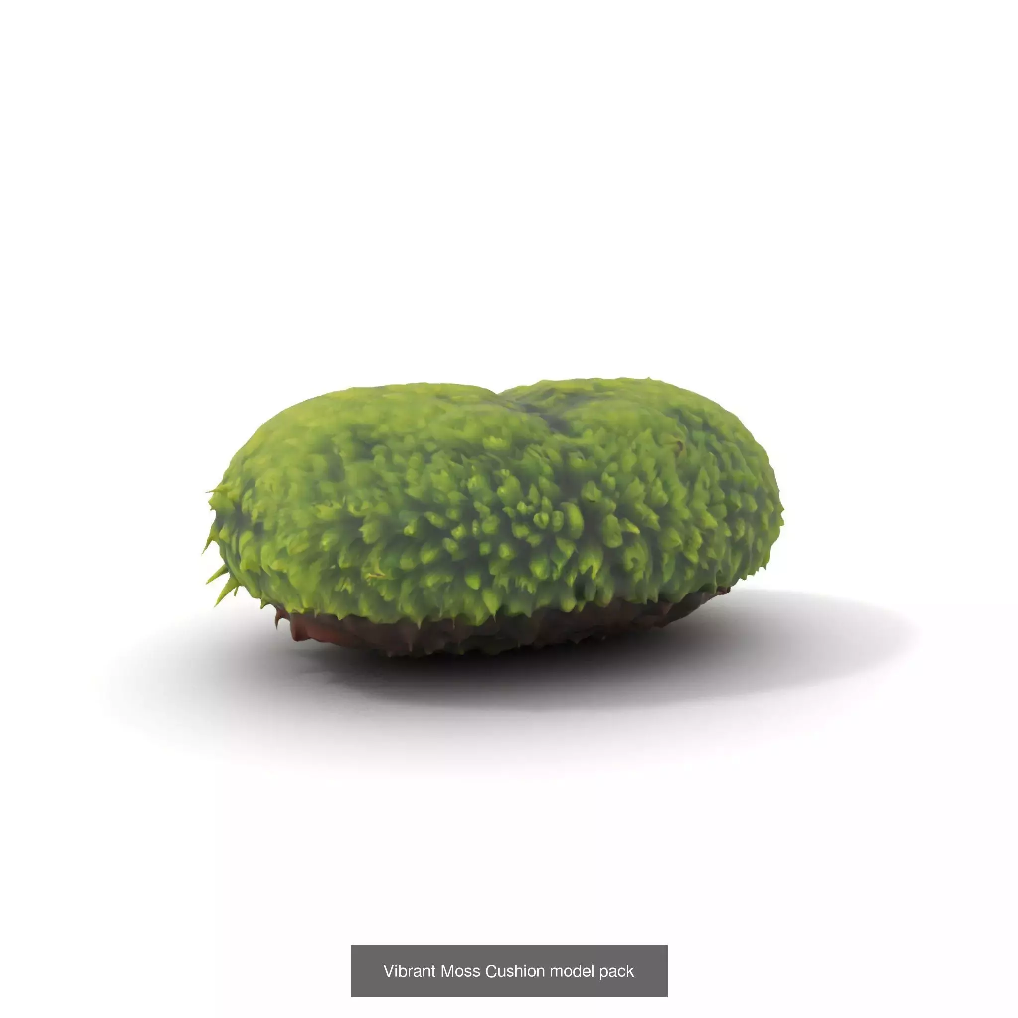 Moss Biome Models Pack 3D Model Collection_57