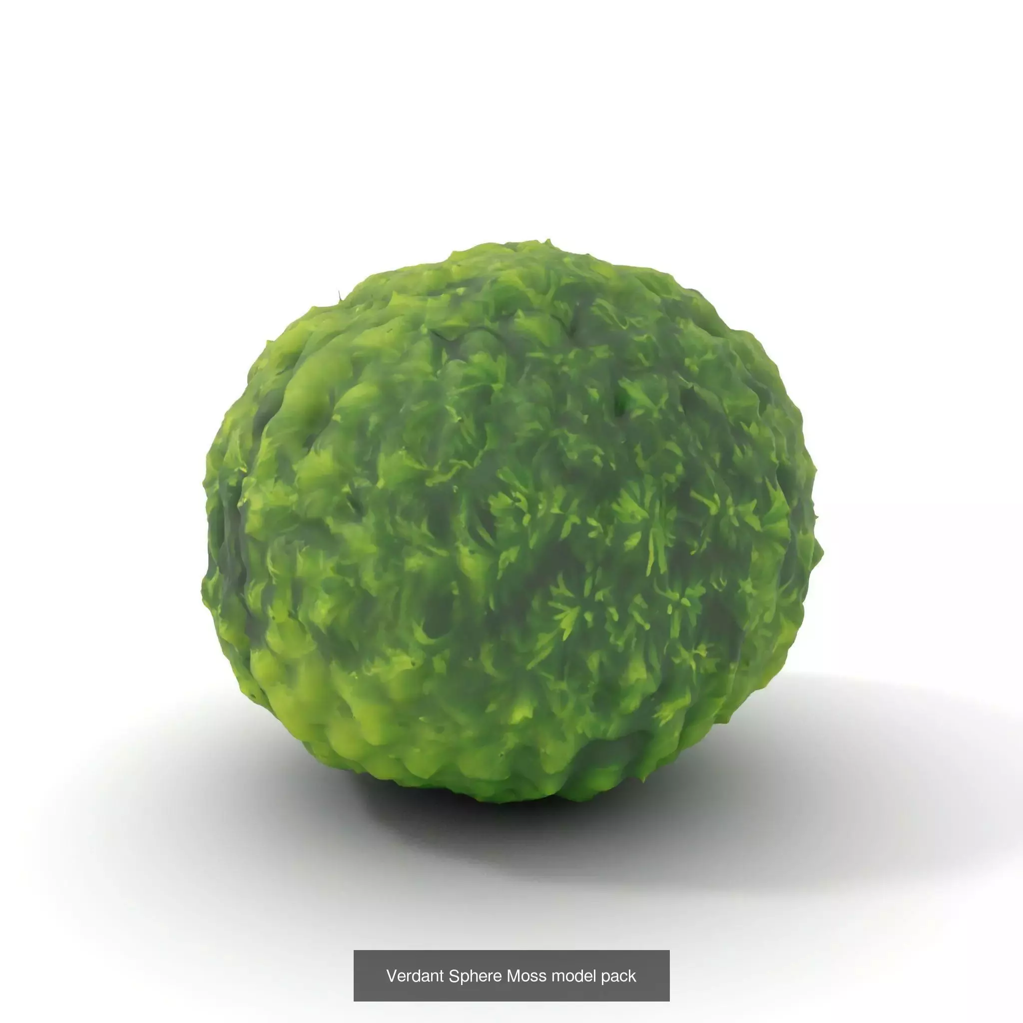 Moss Biome Models Pack 3D Model Collection_55