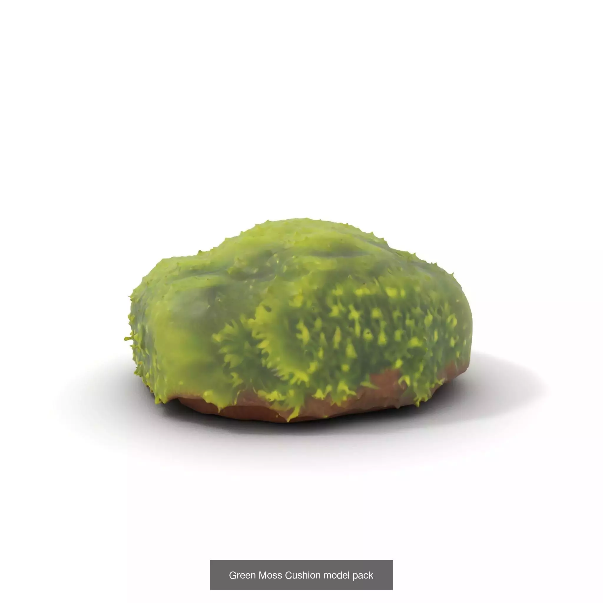 Moss Biome Models Pack 3D Model Collection_59