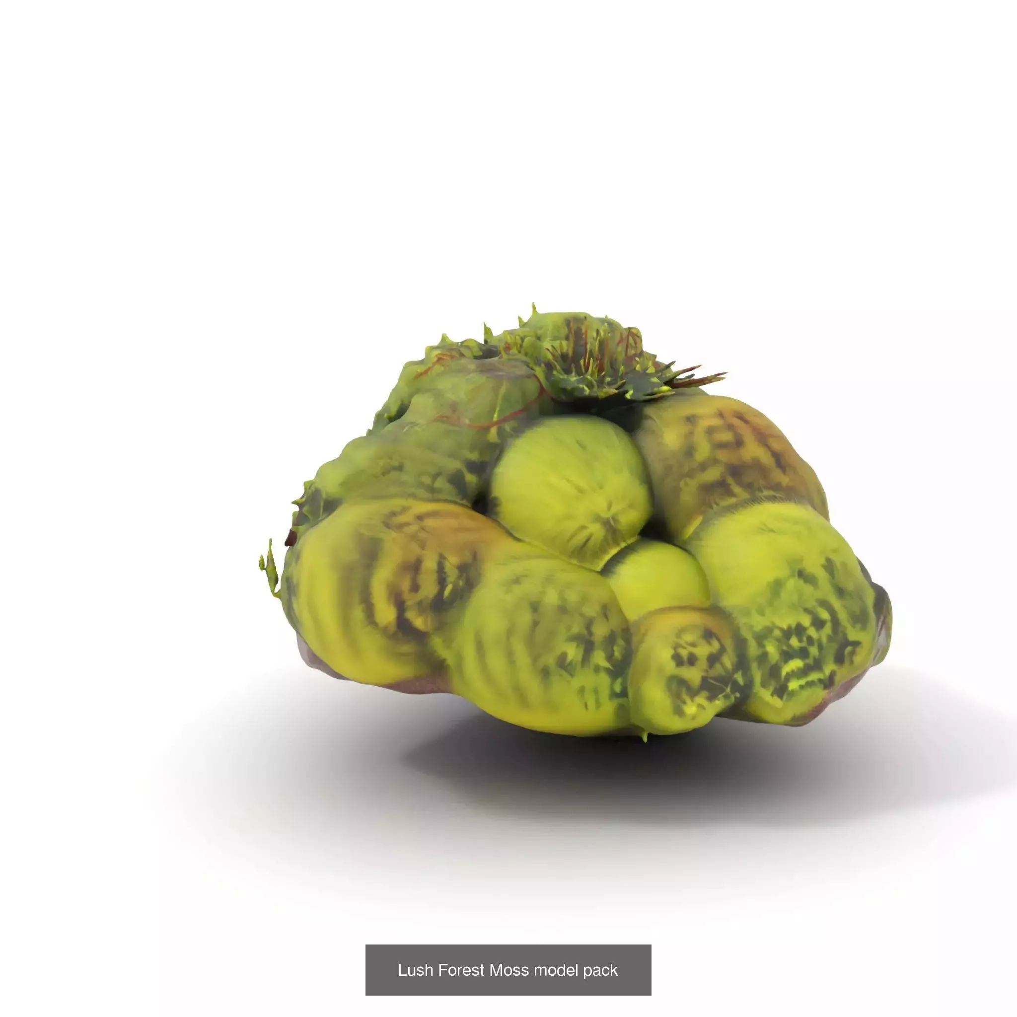 Moss Biome Models Pack 3D Model Collection_50