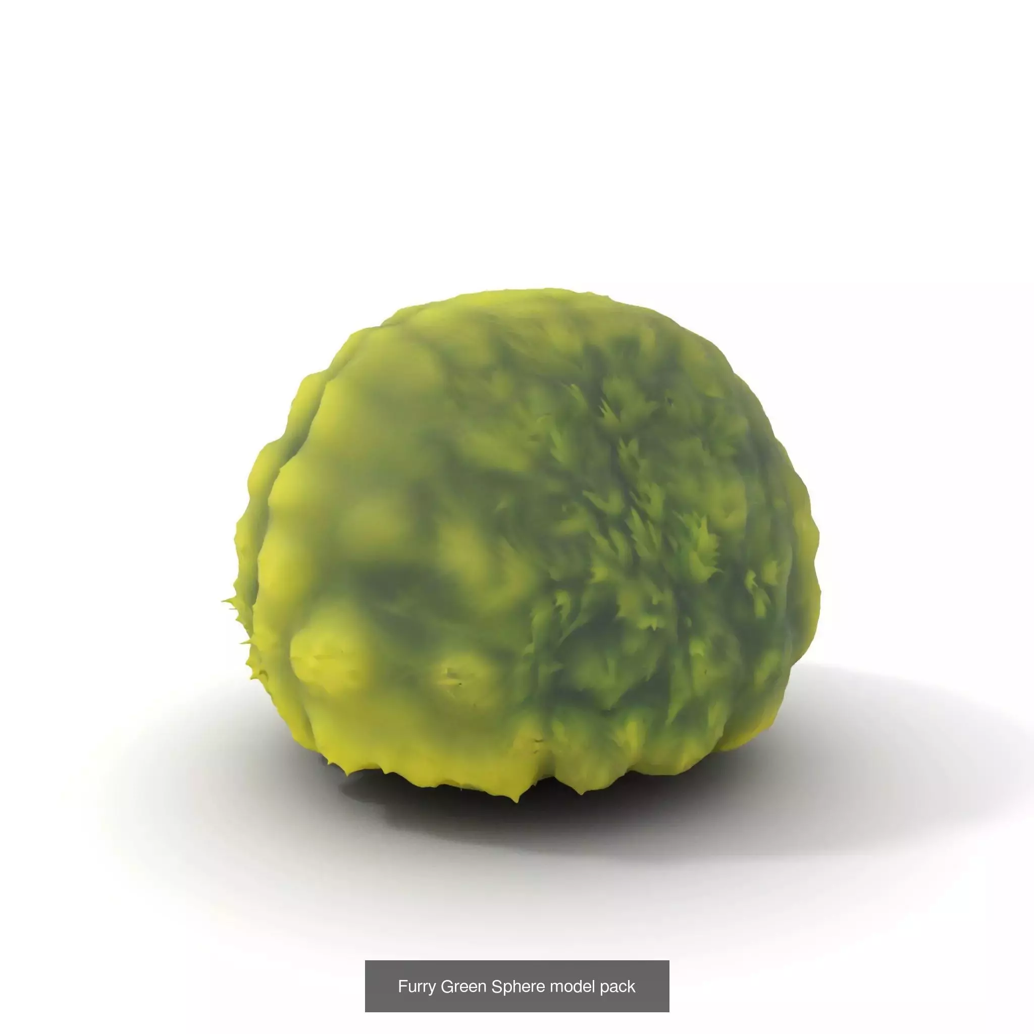 Moss Biome Models Pack 3D Model Collection_56