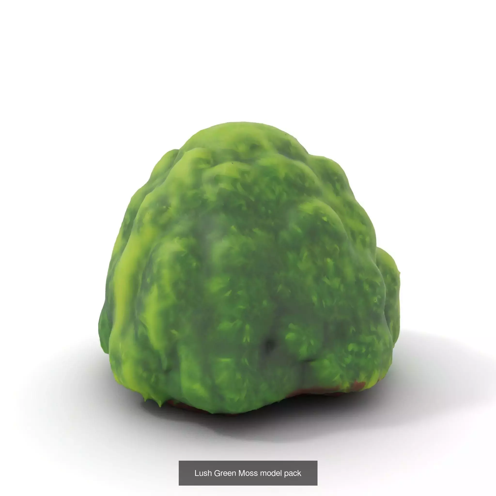 Moss Biome Models Pack 3D Model Collection_58