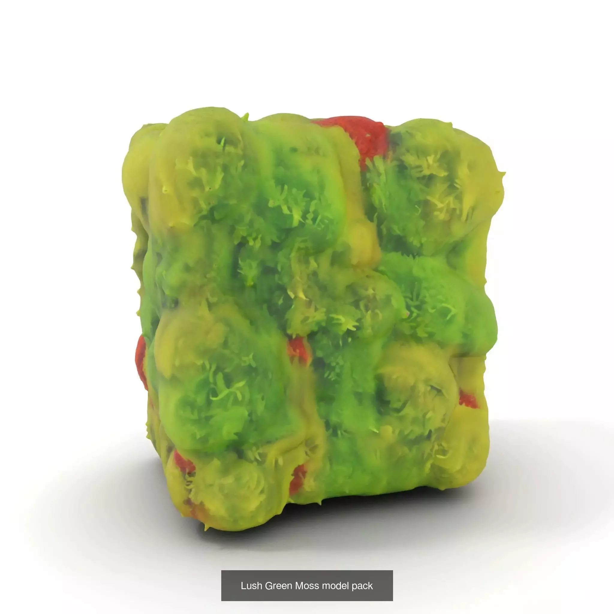 Moss Biome Models Pack 3D Model Collection_42