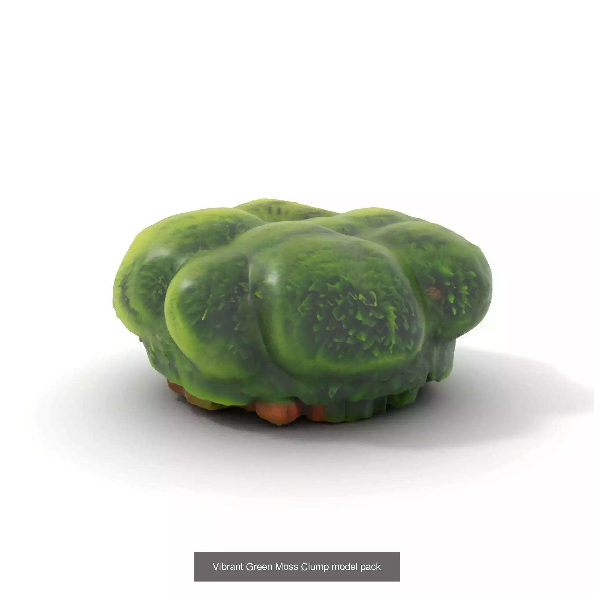 Moss Biome Models Pack 3D Model Collection_45