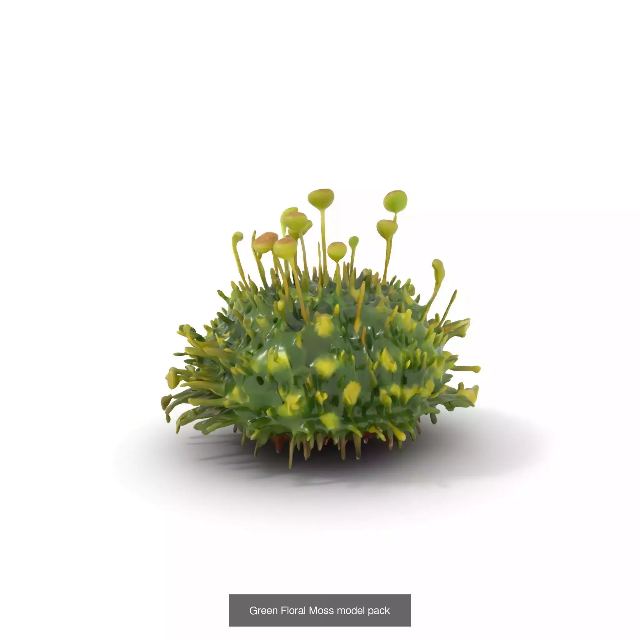 Moss Biome Models Pack 3D Model Collection_36