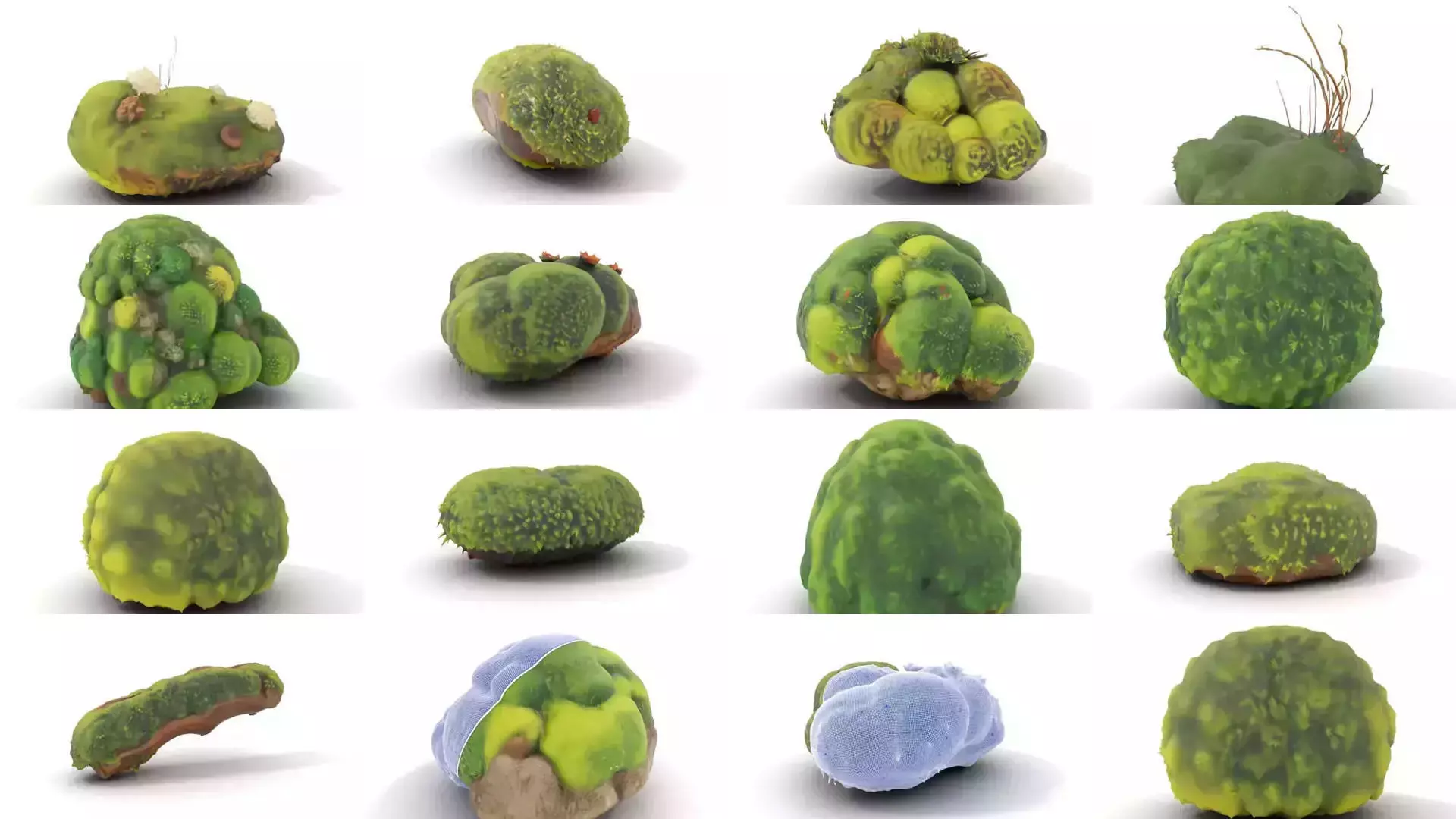 Moss Biome Models Pack 3D Model Collection_30