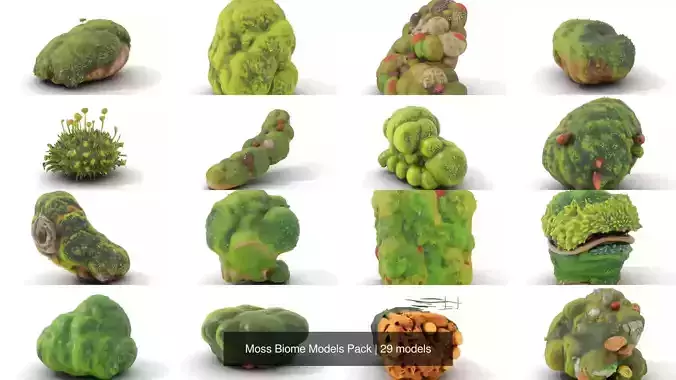 Moss Biome Models Pack 3D Model Collection