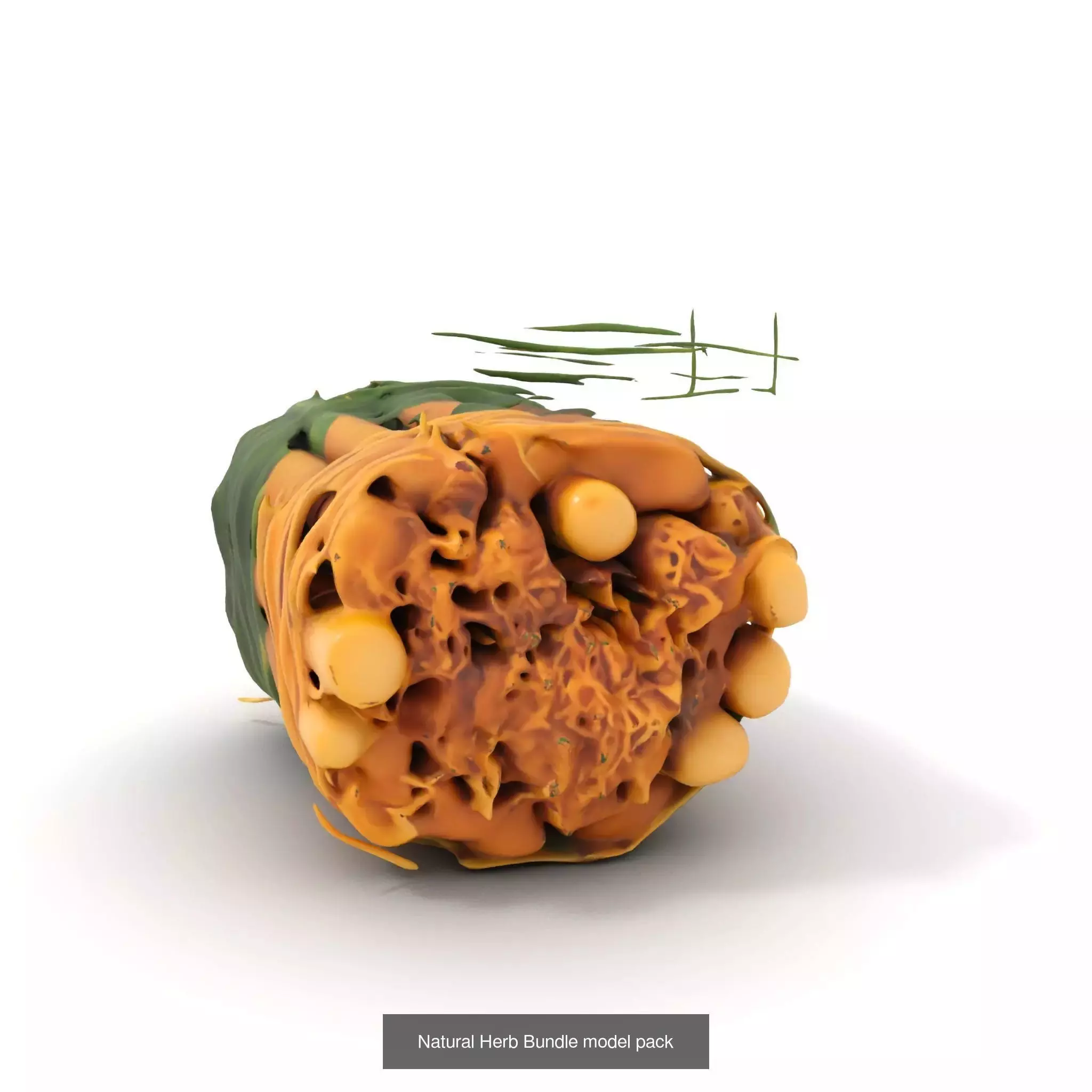 Moss Biome Models Pack 3D Model Collection_46