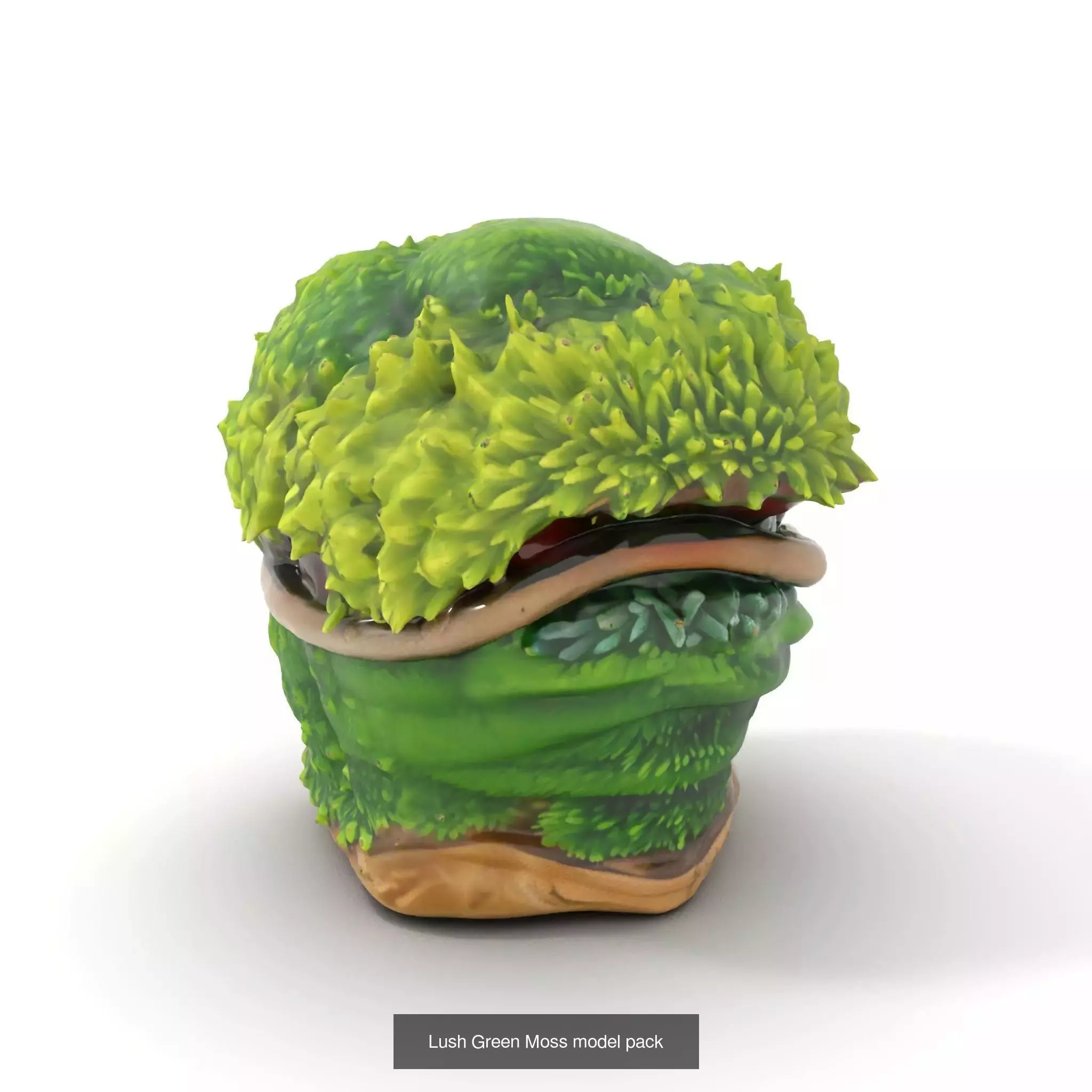 Moss Biome Models Pack 3D Model Collection_43