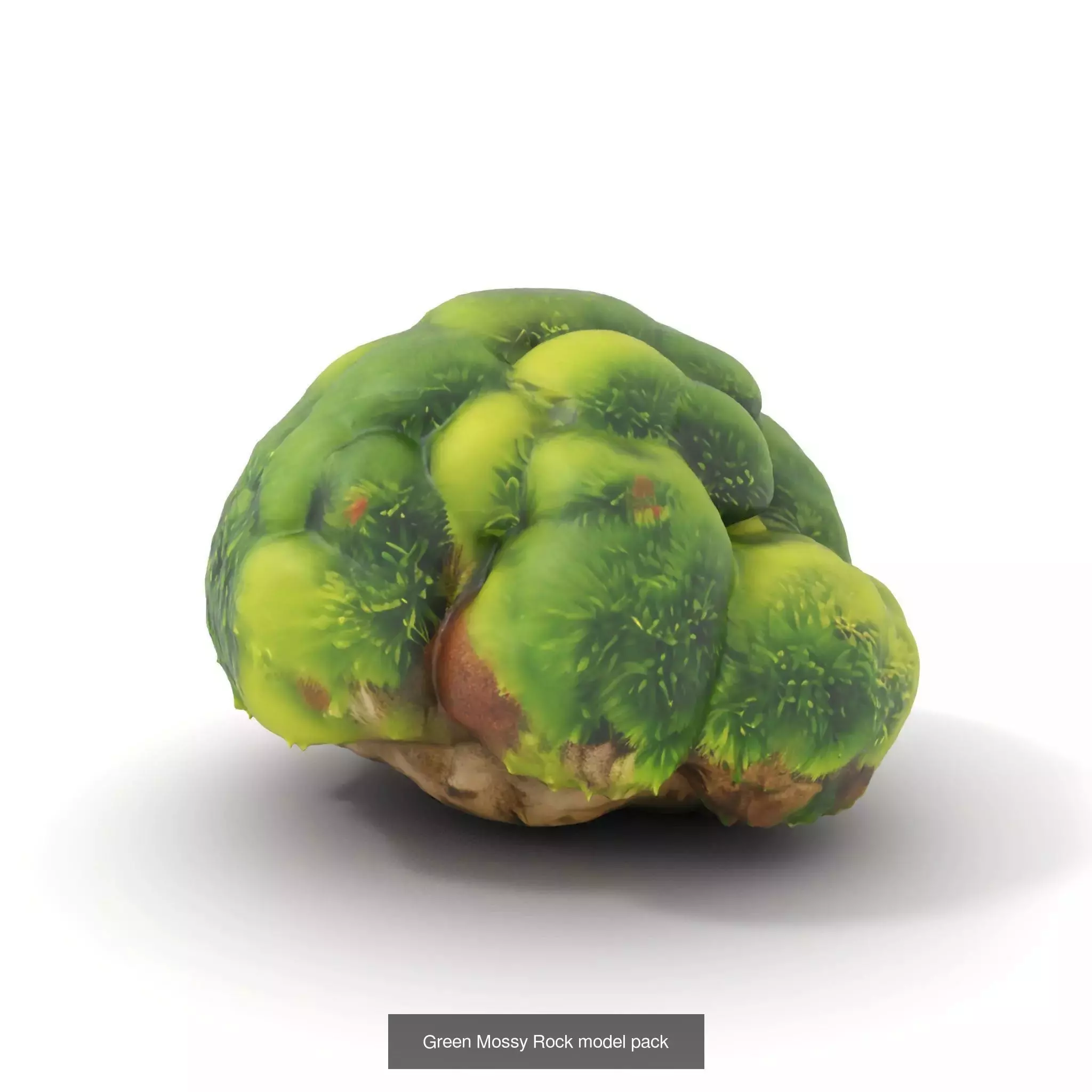 Moss Biome Models Pack 3D Model Collection_54