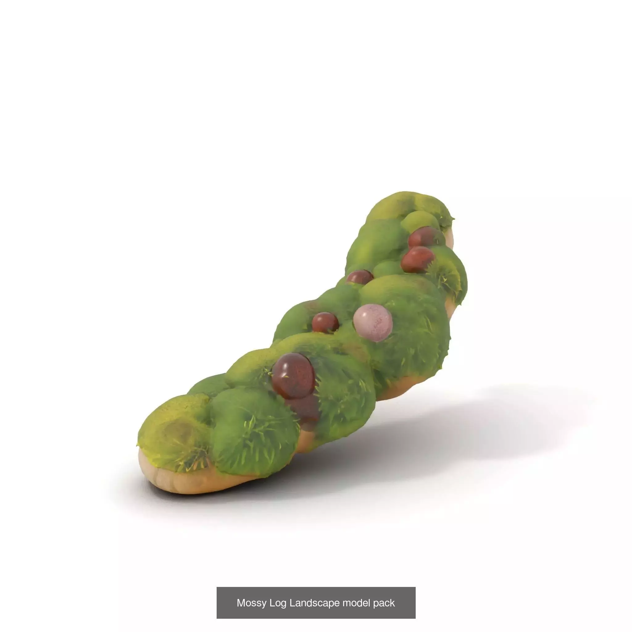 Moss Biome Models Pack 3D Model Collection_37