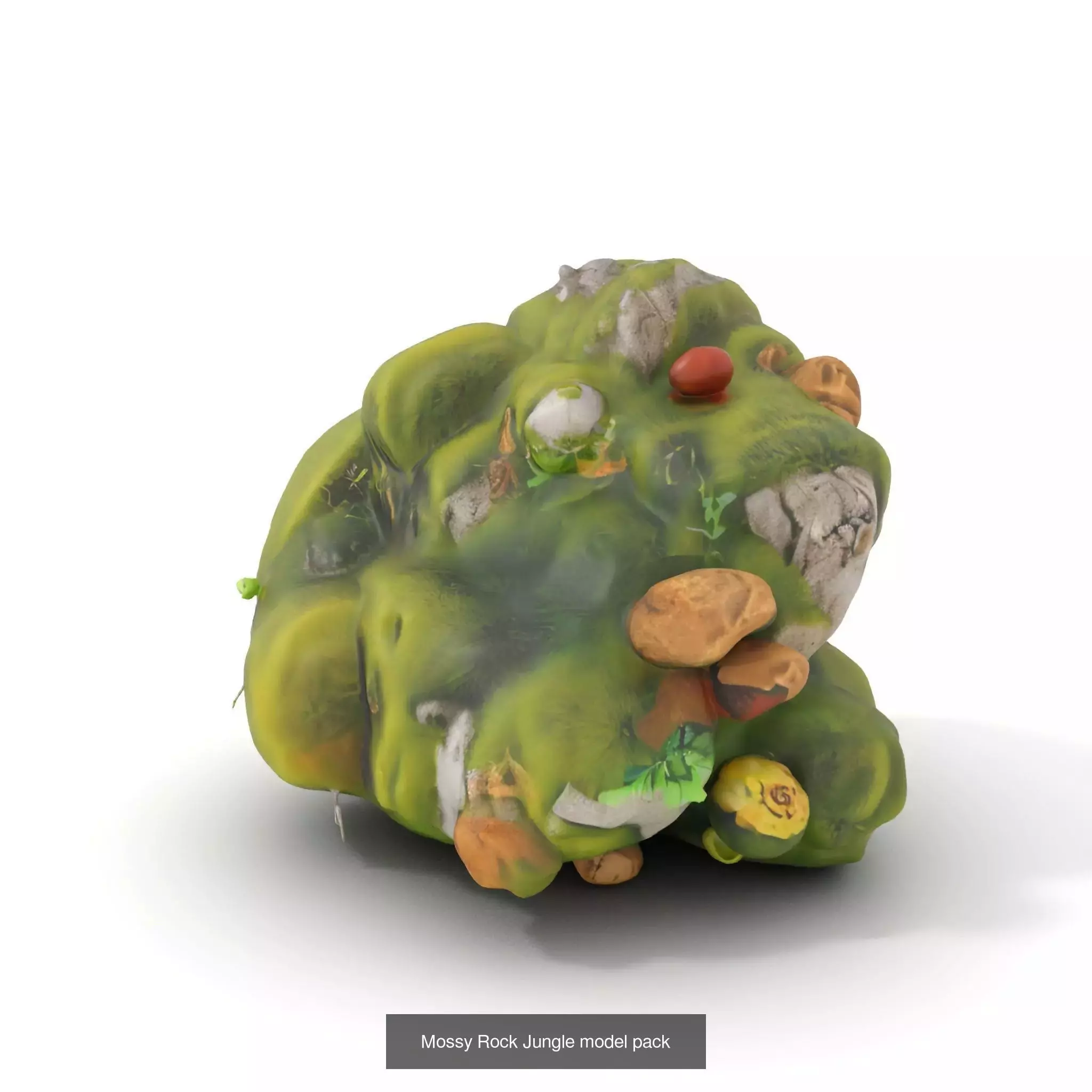 Moss Biome Models Pack 3D Model Collection_47