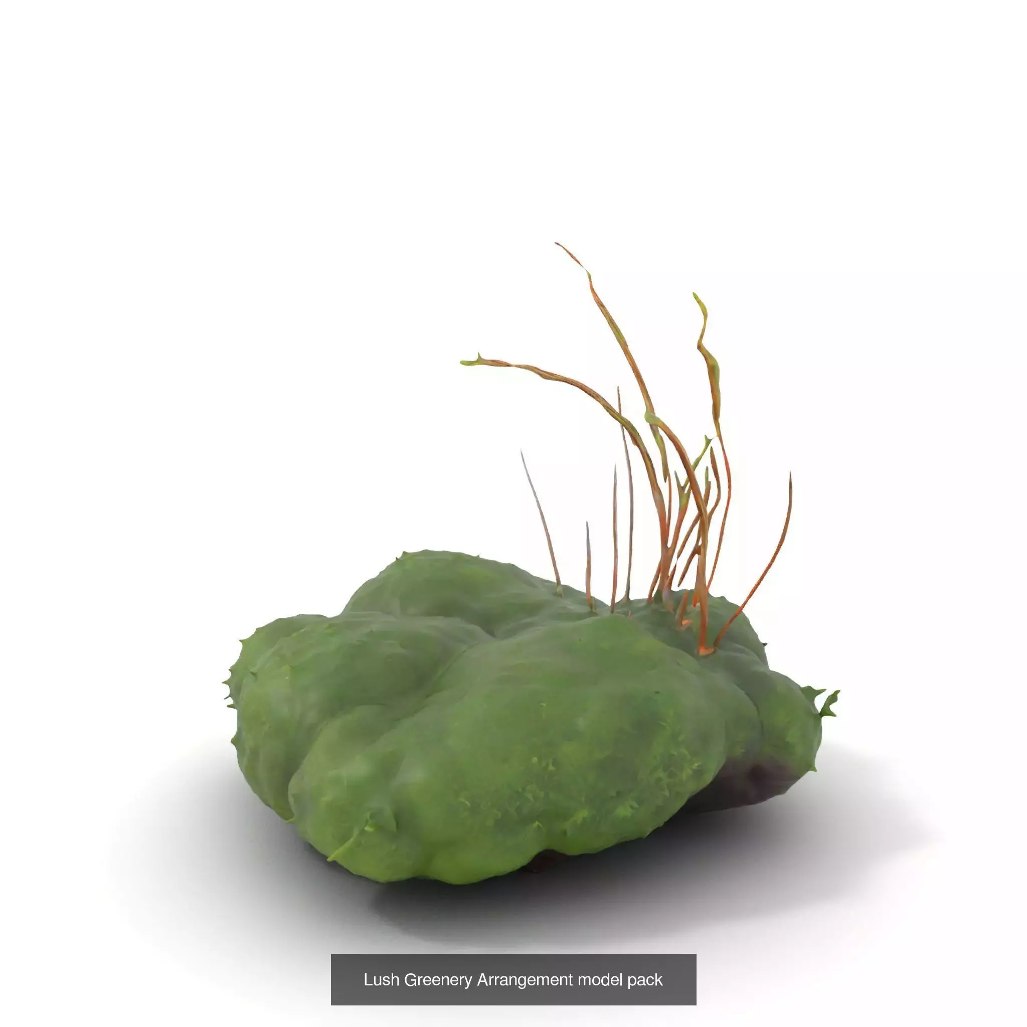 Moss Biome Models Pack 3D Model Collection_51