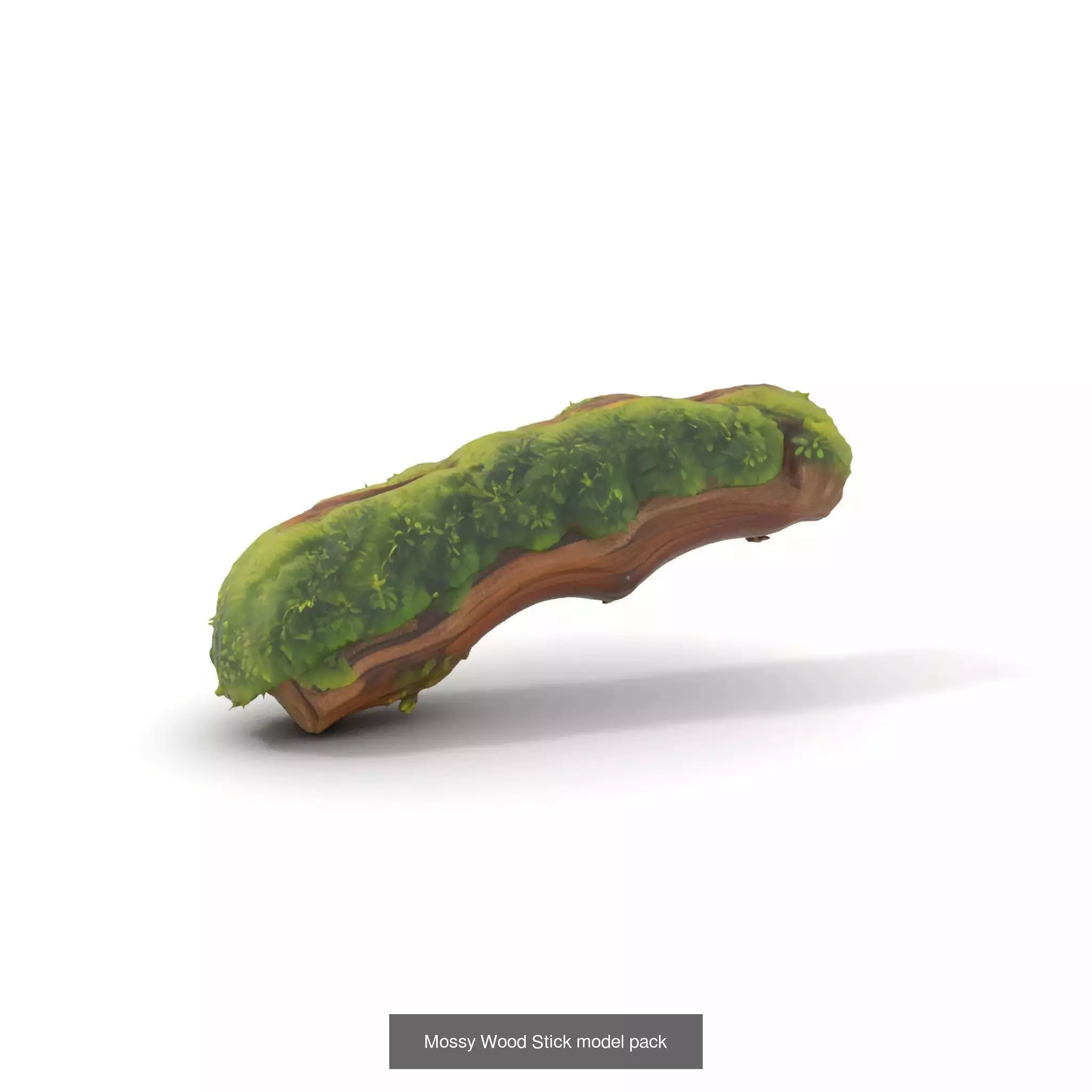 Moss Biome Models Pack 3D Model Collection_60