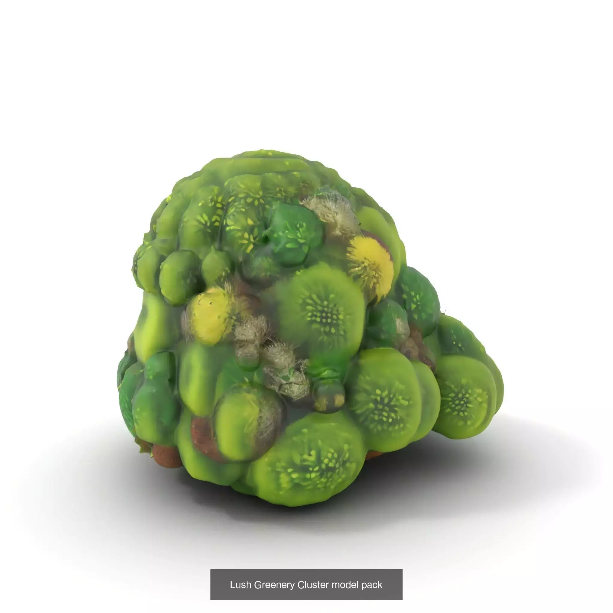 Moss Biome Models Pack 3D Model Collection_52