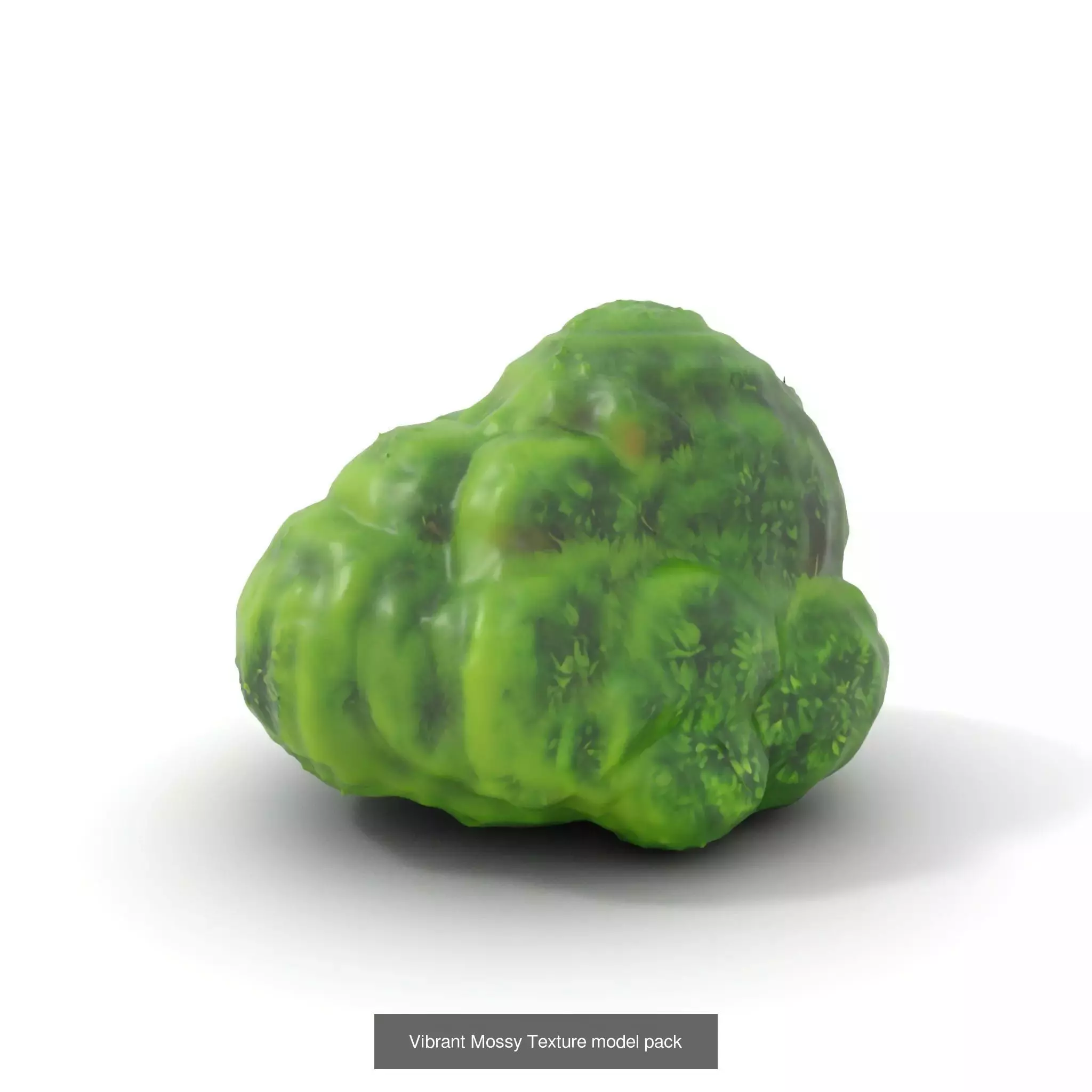 Moss Biome Models Pack 3D Model Collection_44