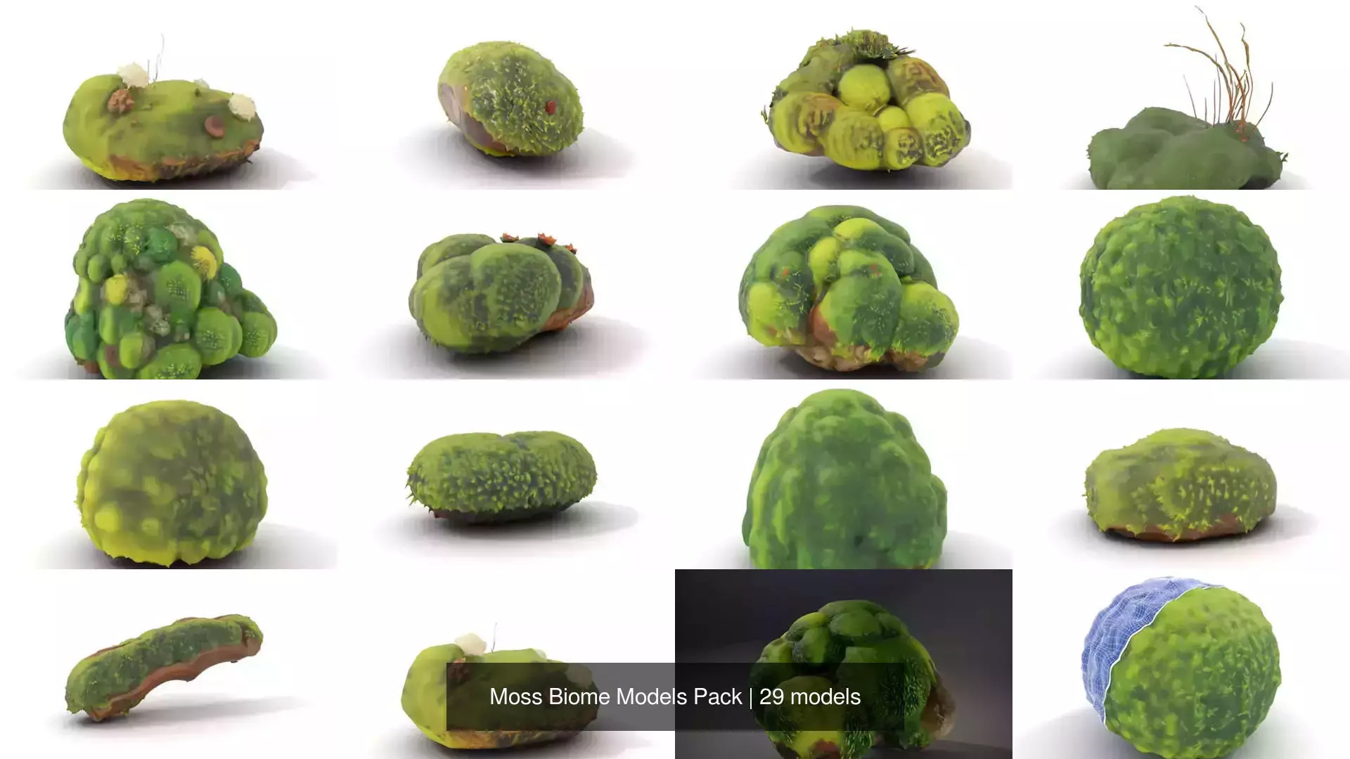 Moss Biome Models Pack 3D Model Collection_31