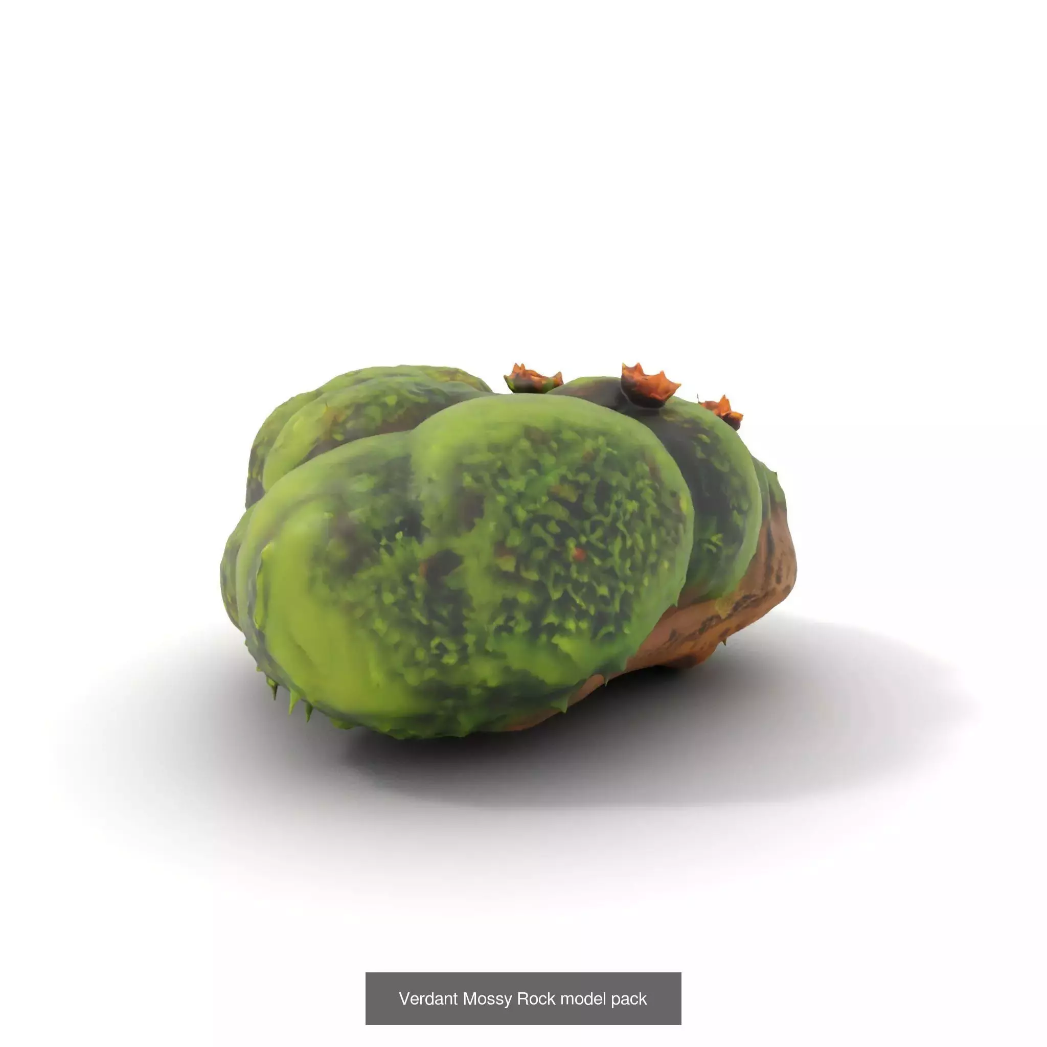 Moss Biome Models Pack 3D Model Collection_53