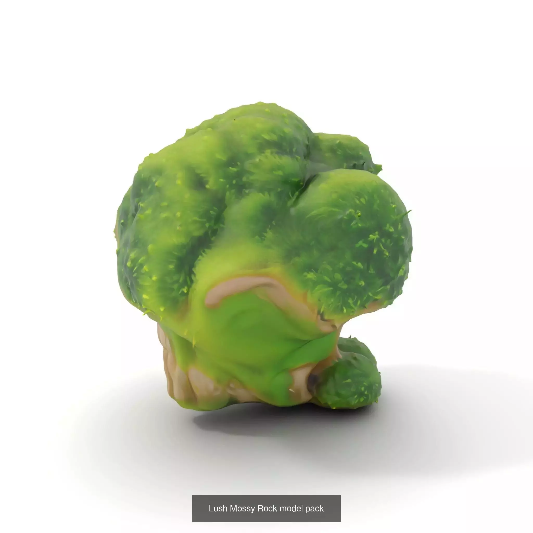 Moss Biome Models Pack 3D Model Collection_41