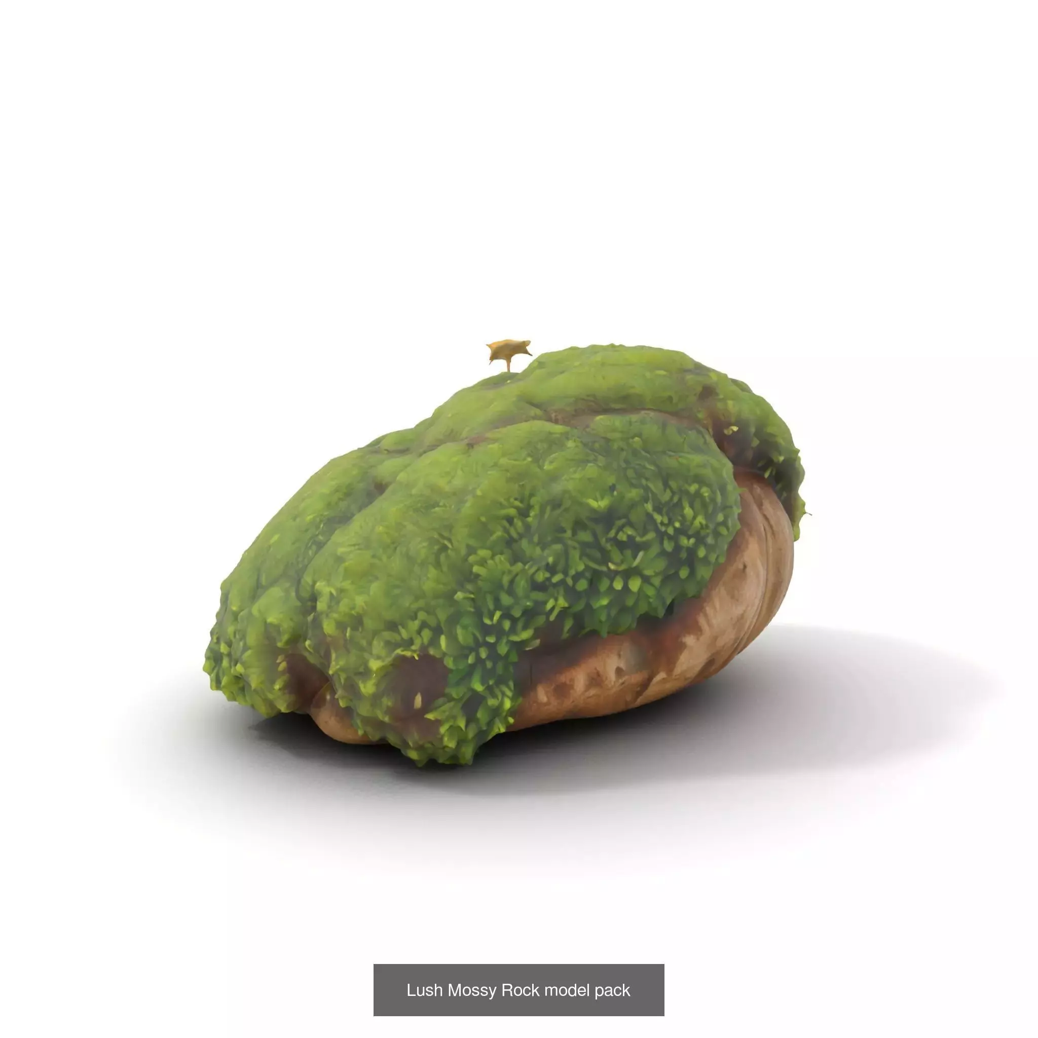 Moss Biome Models Pack 3D Model Collection_32