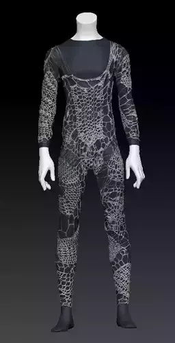 David Bowie mesh costume
