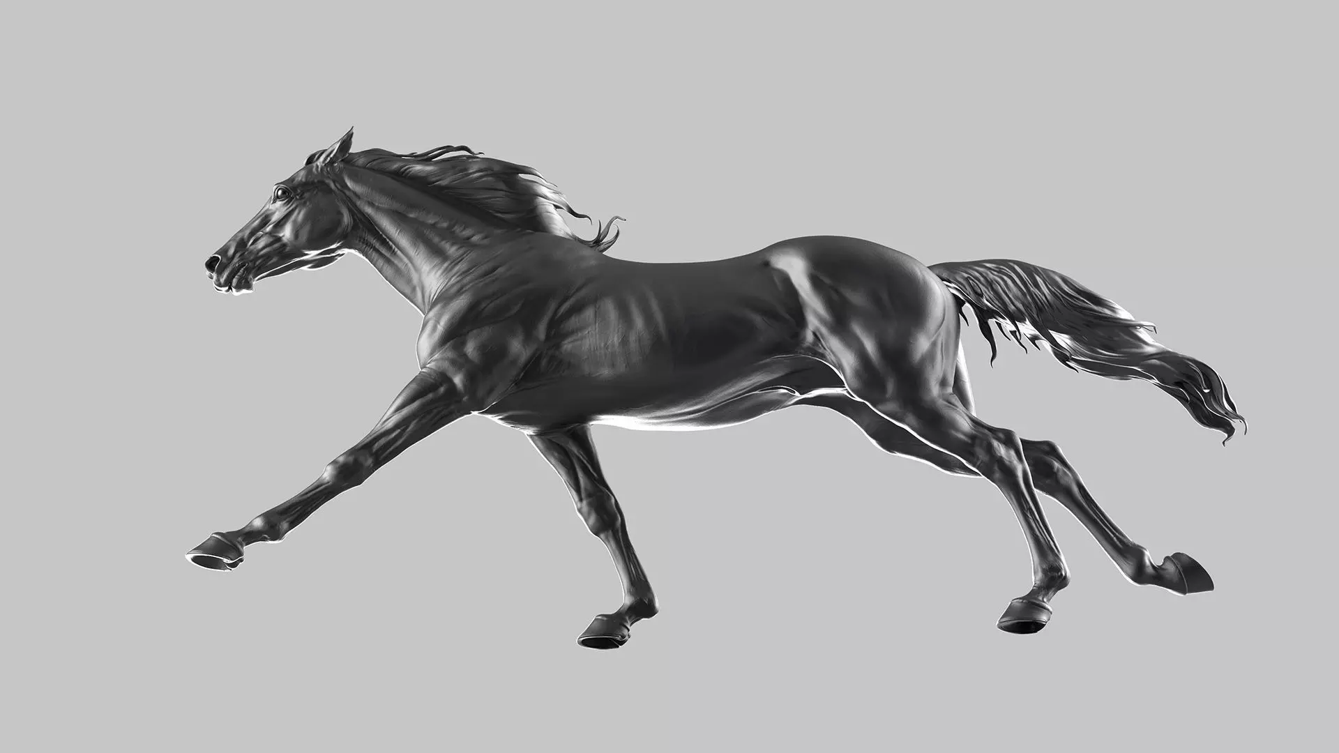 Racehorse   -  3D Sculpting 3D print model_12