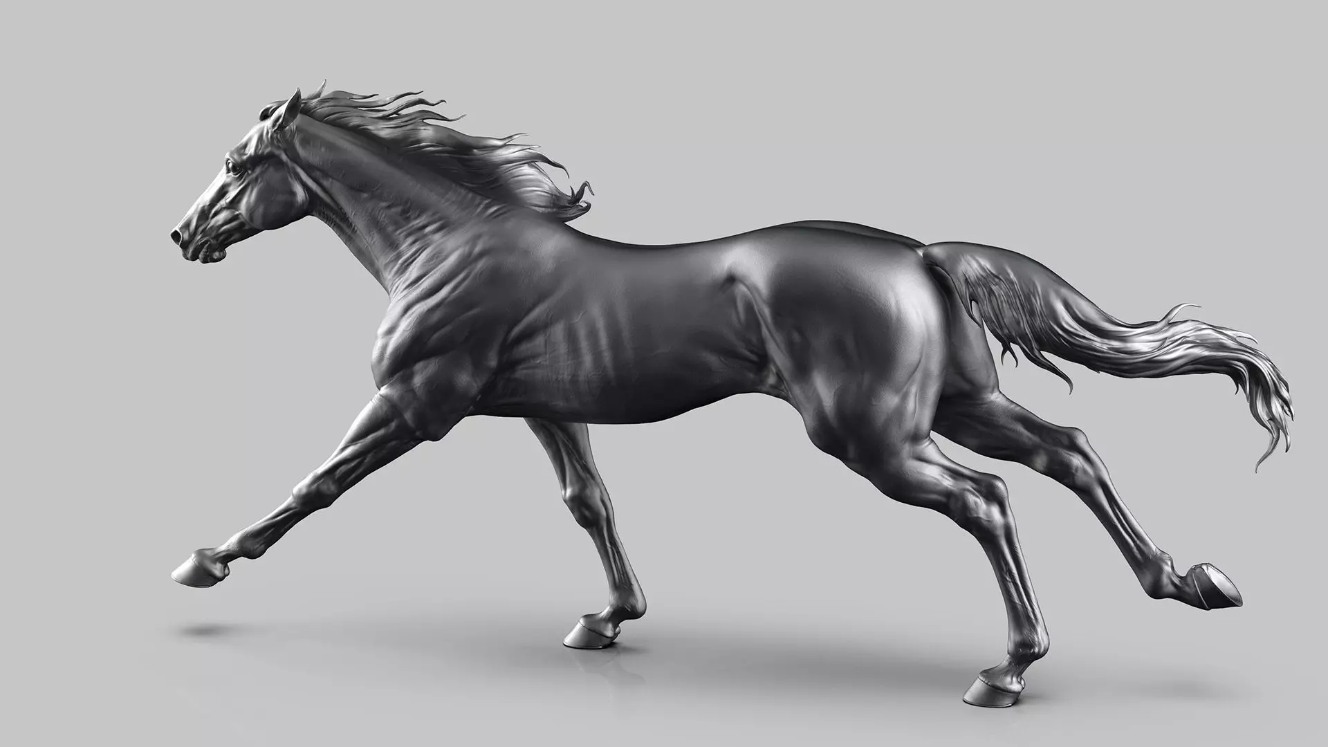 Racehorse   -  3D Sculpting 3D print model_7