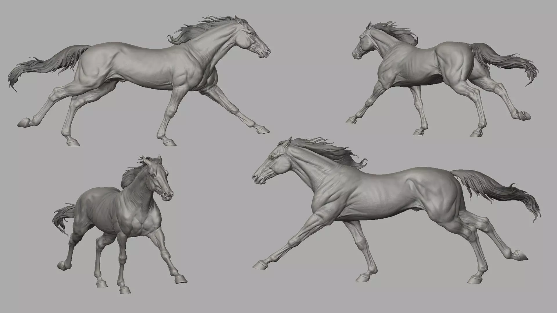 Racehorse   -  3D Sculpting 3D print model_3
