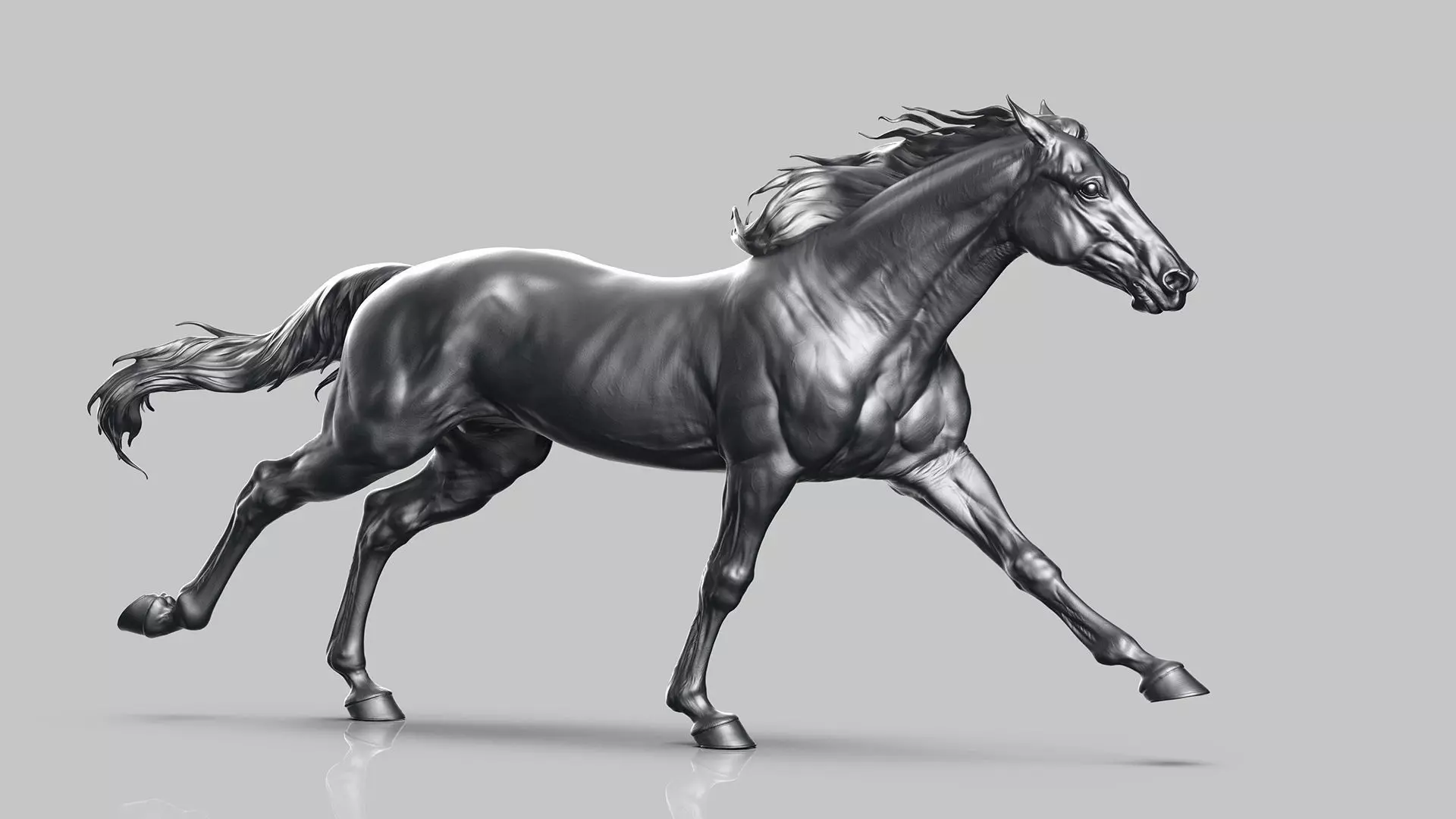 Racehorse   -  3D Sculpting 3D print model_10