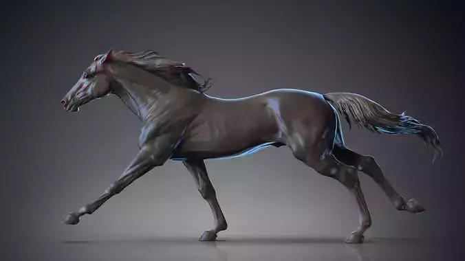 Racehorse   -  3D Sculpting