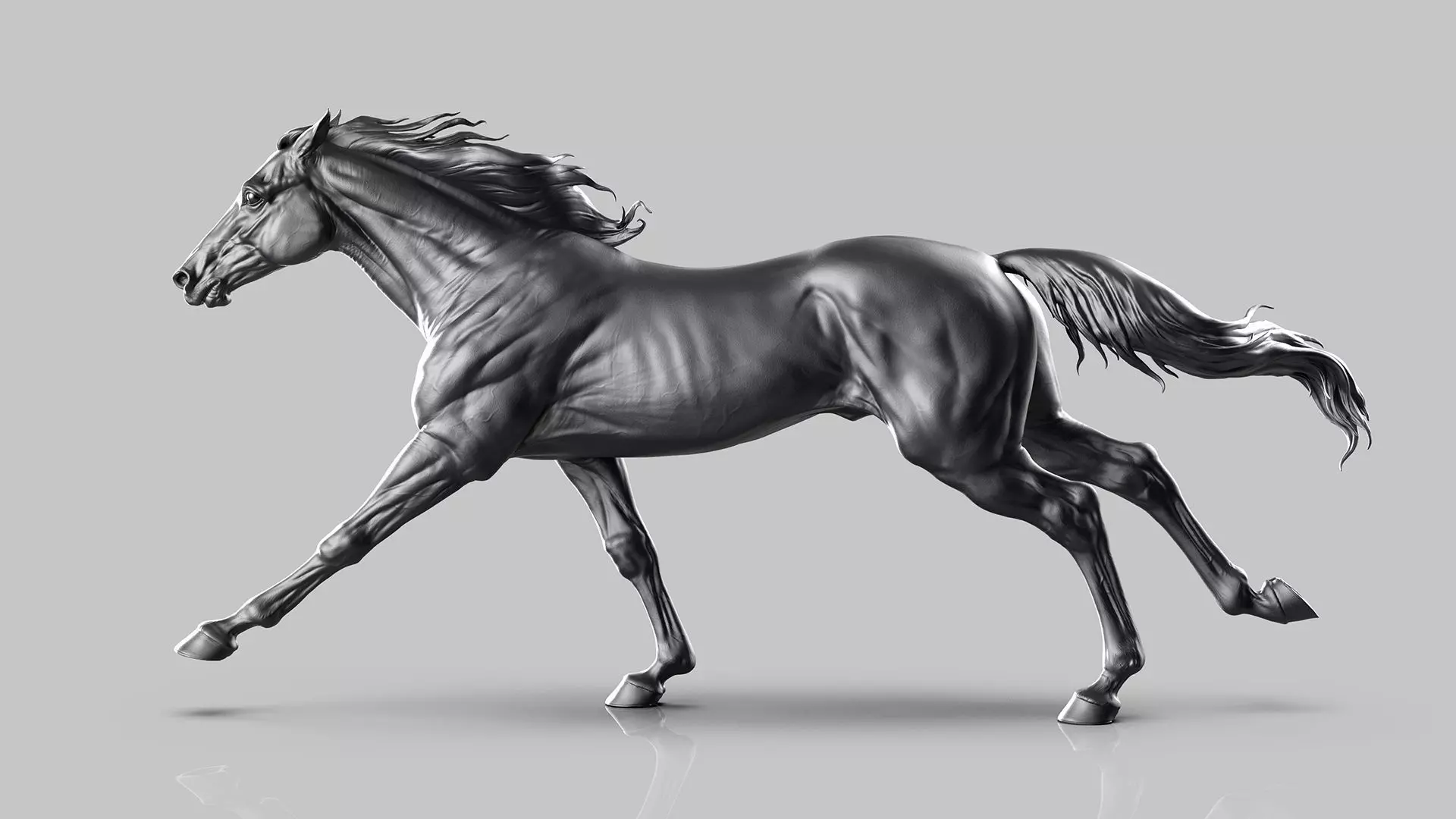 Racehorse   -  3D Sculpting 3D print model_2
