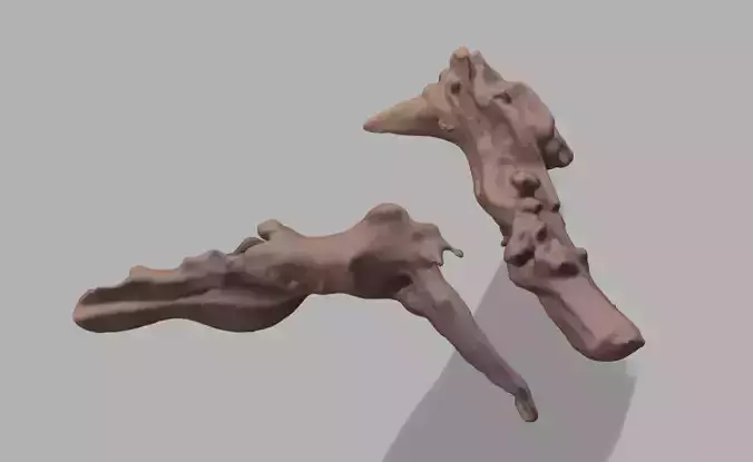 Drift wood scan