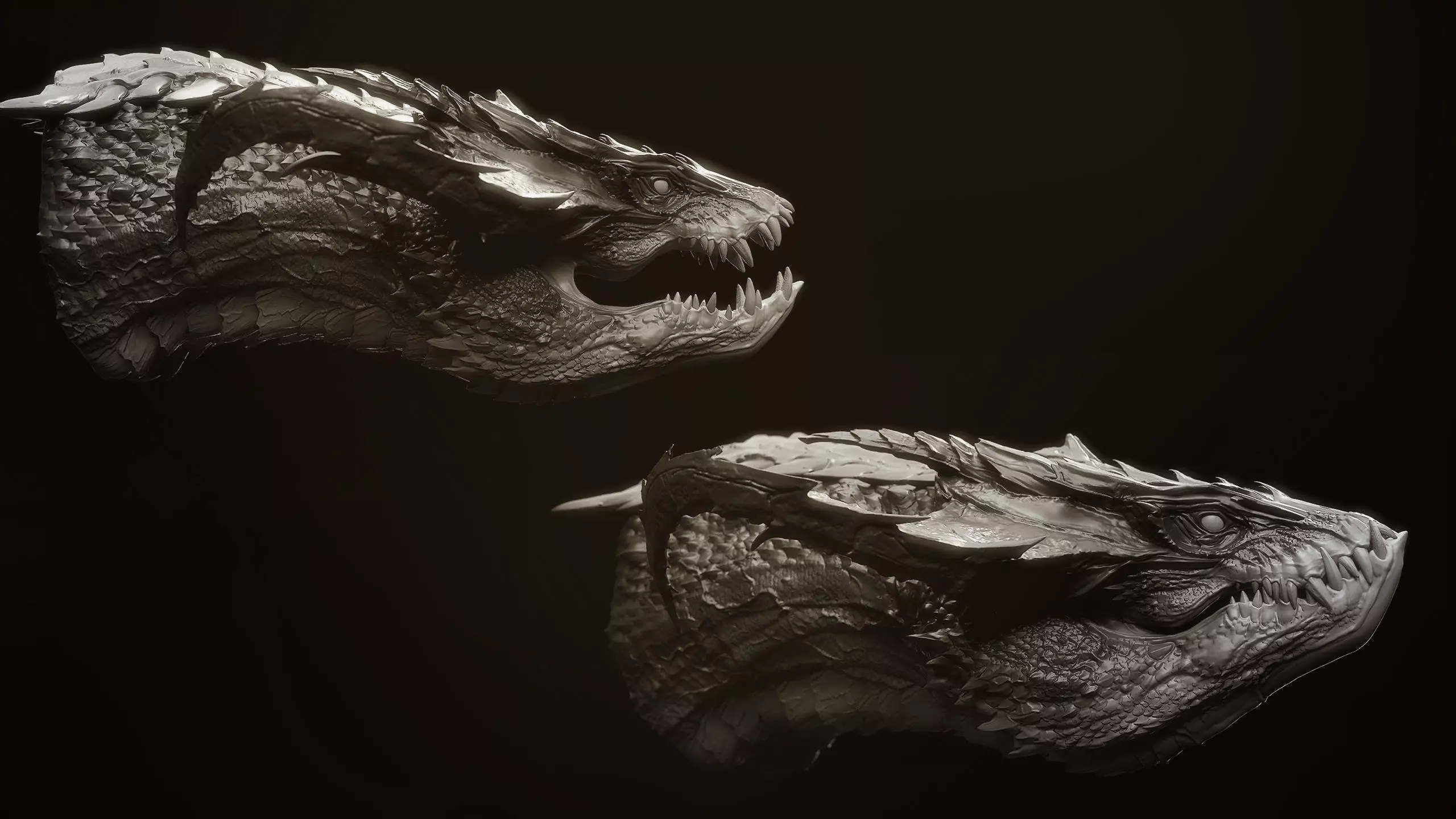 Dragon Heads Volume 1 3D model_4