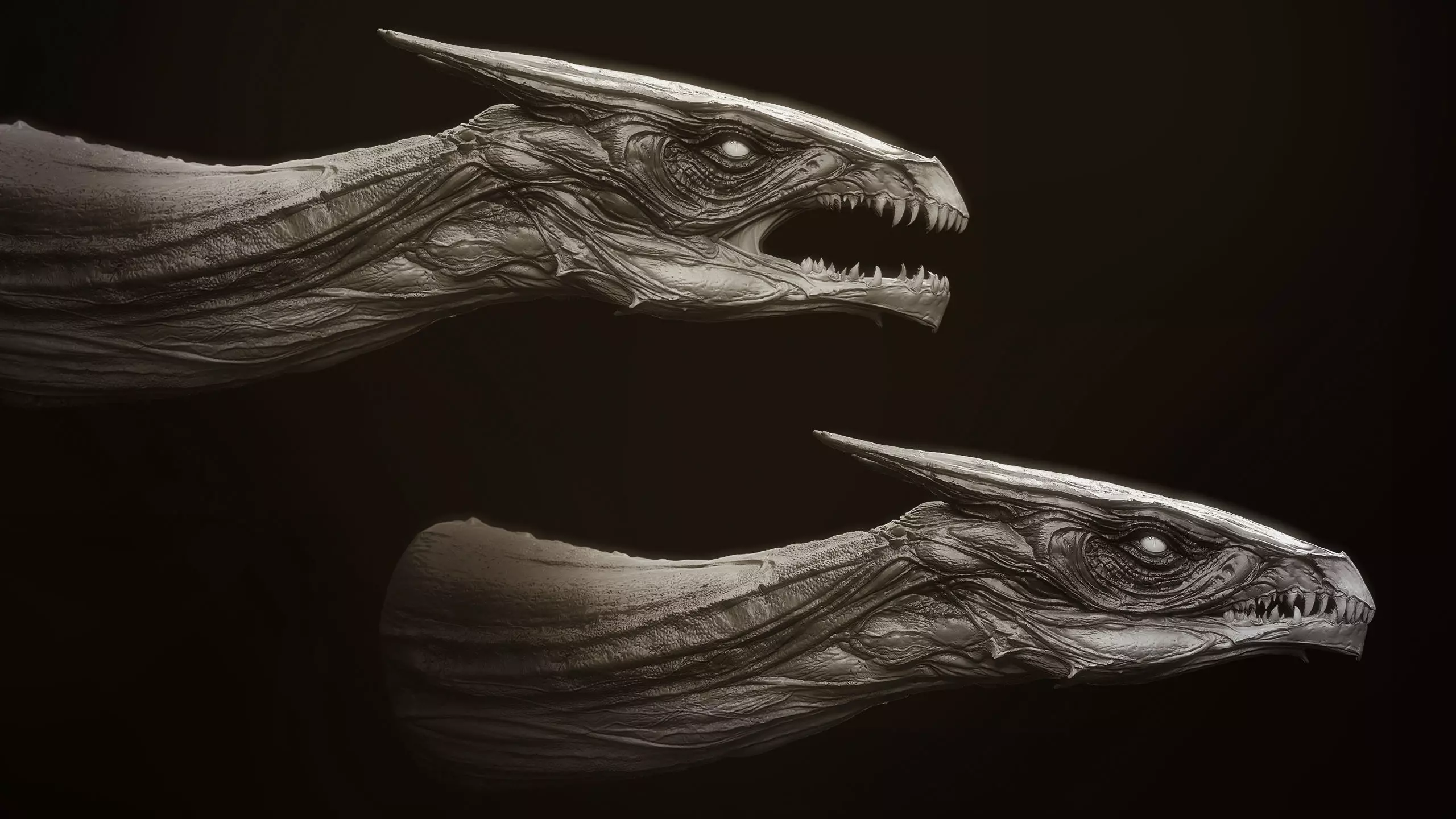 Dragon Heads Volume 1 3D model_7