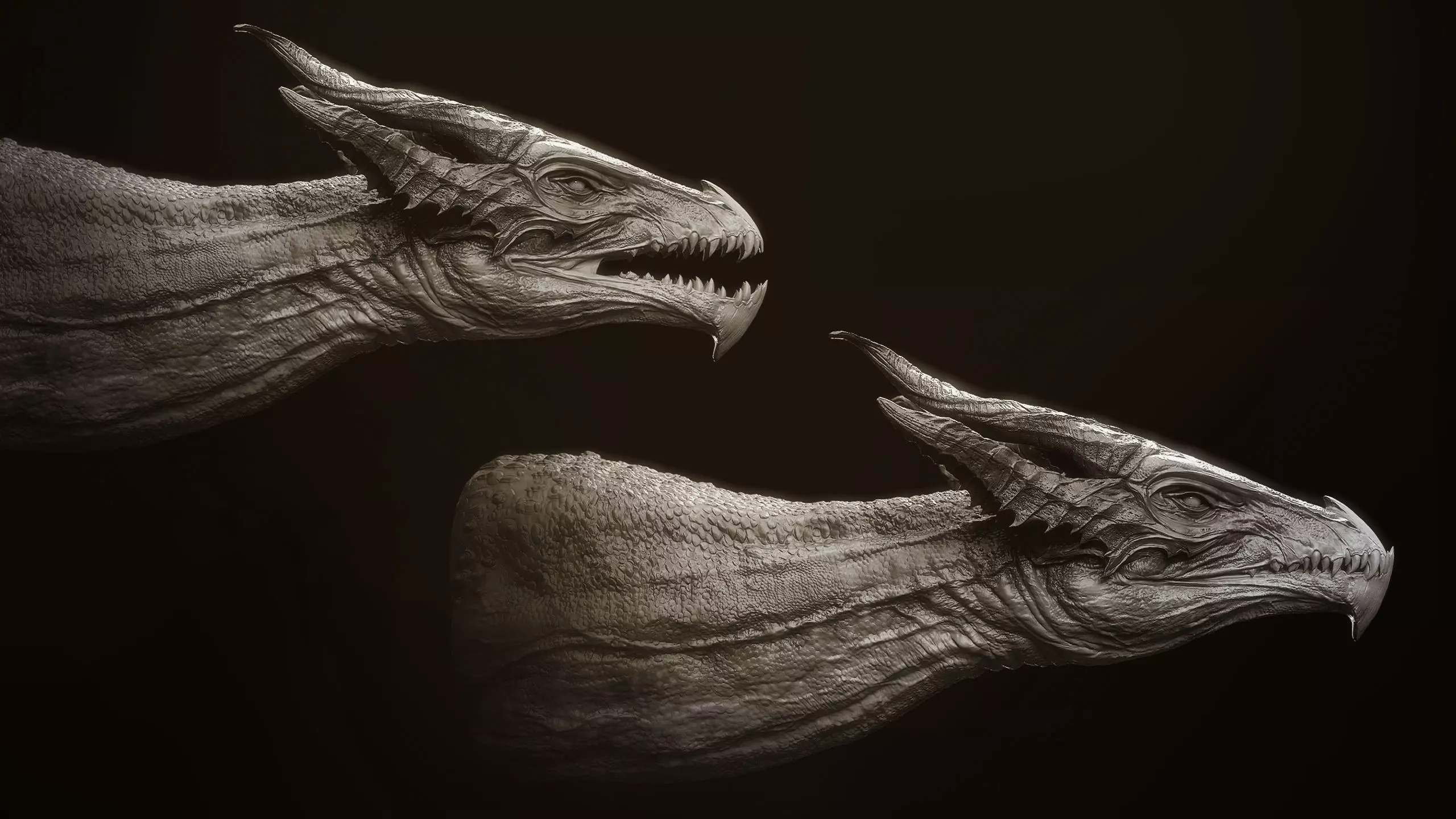 Dragon Heads Volume 1 3D model_8