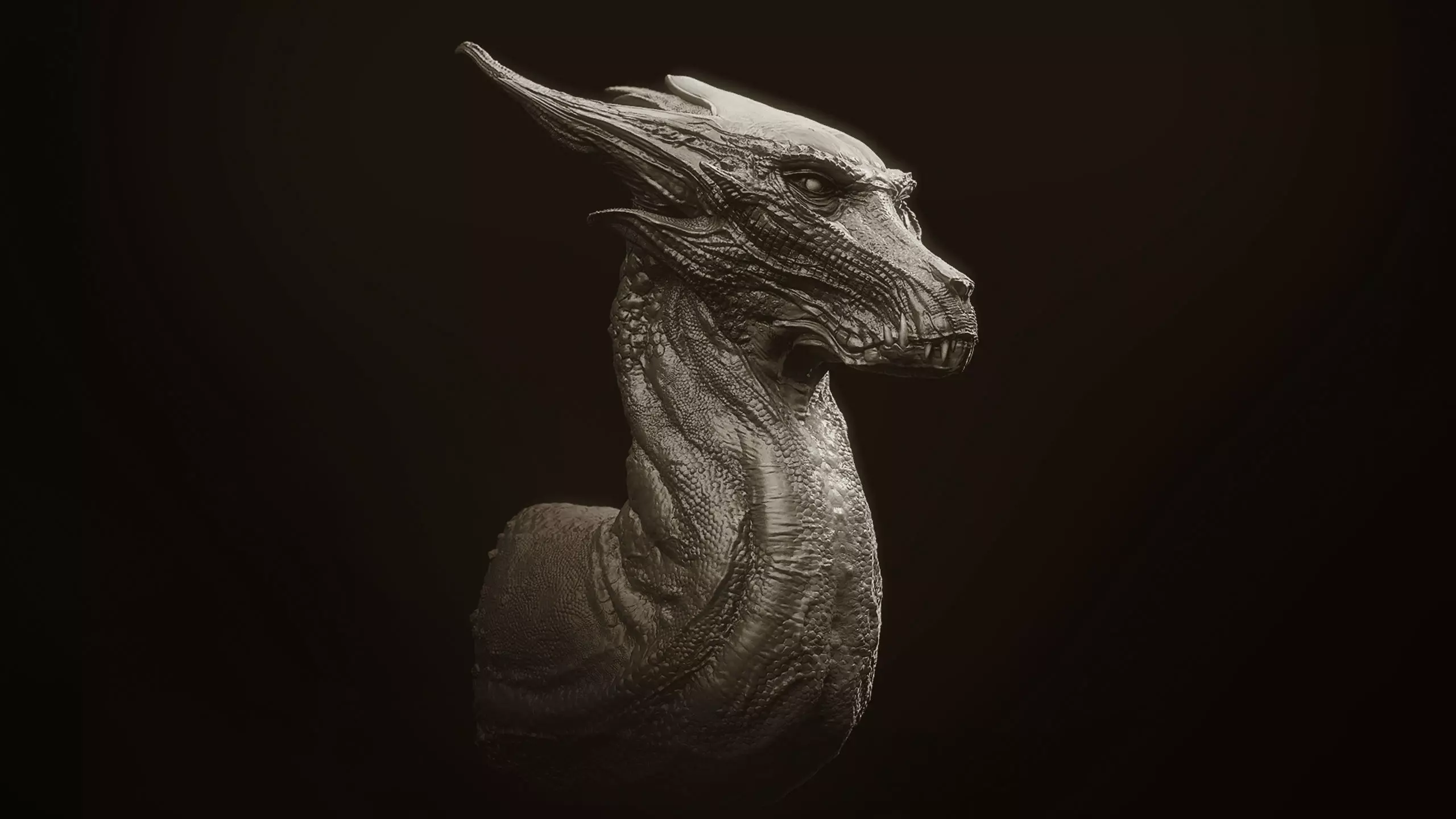 Dragon Heads Volume 1 3D model_13