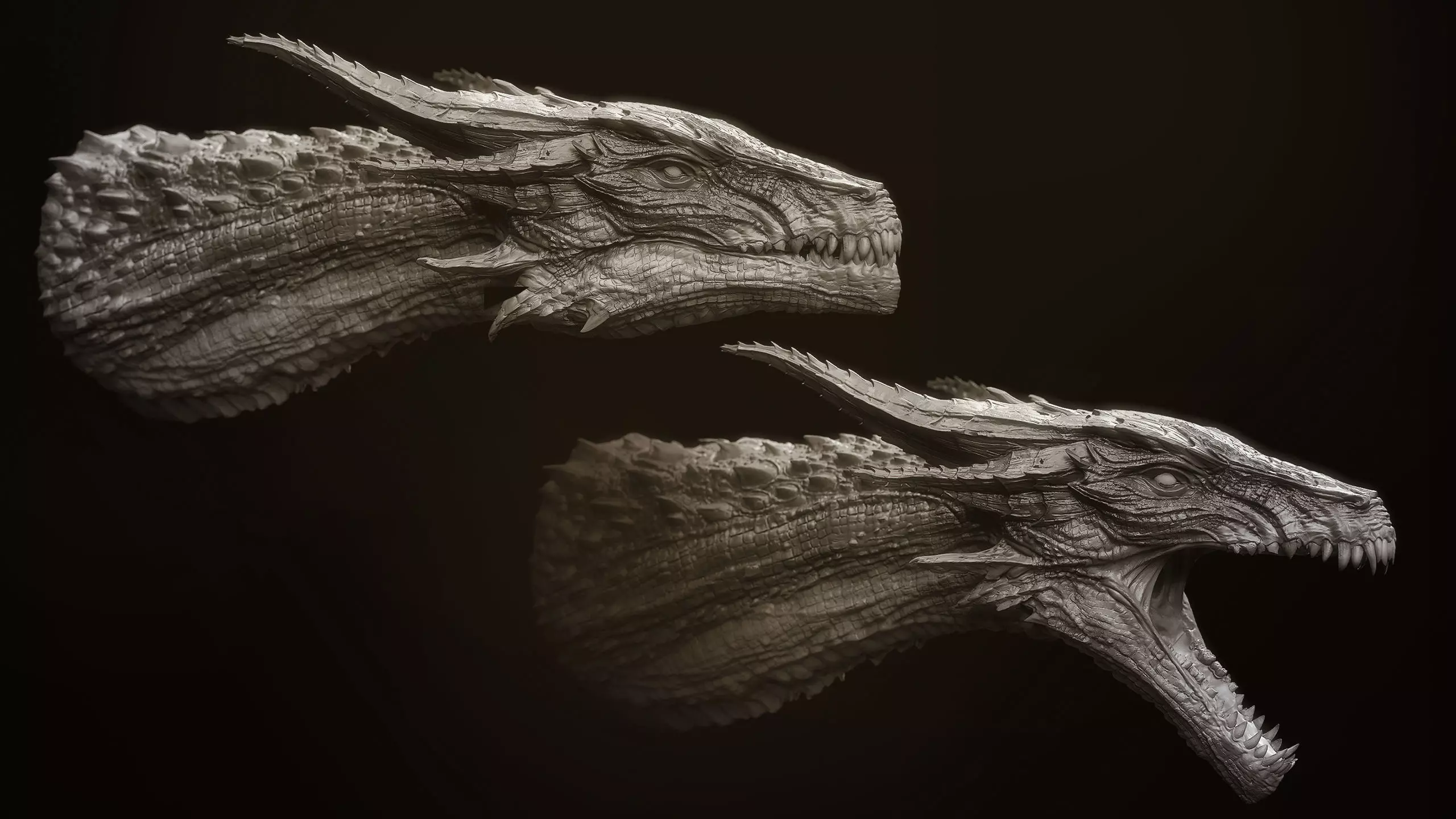Dragon Heads Volume 1 3D model_3