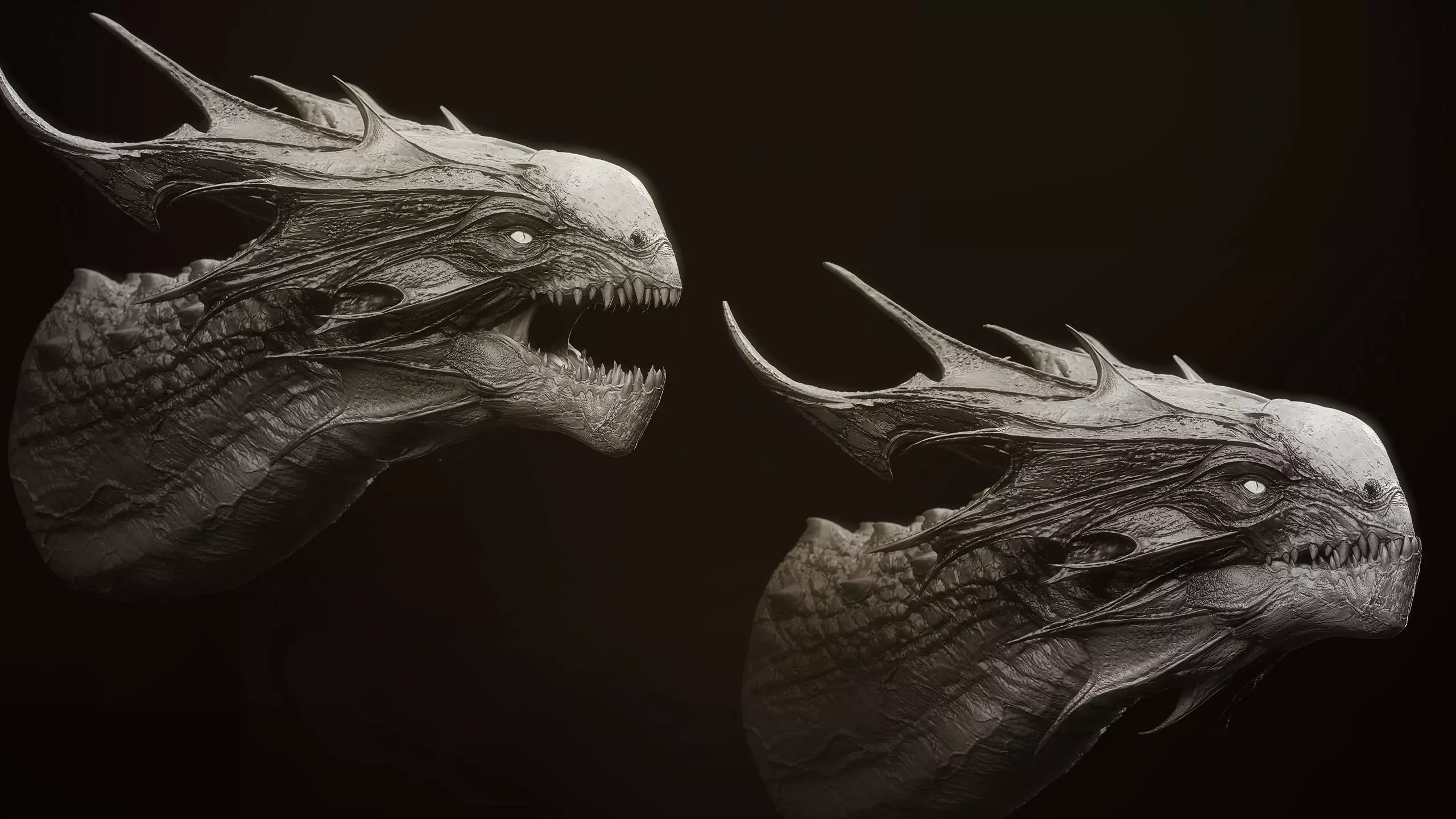 Dragon Heads Volume 1 3D model_12