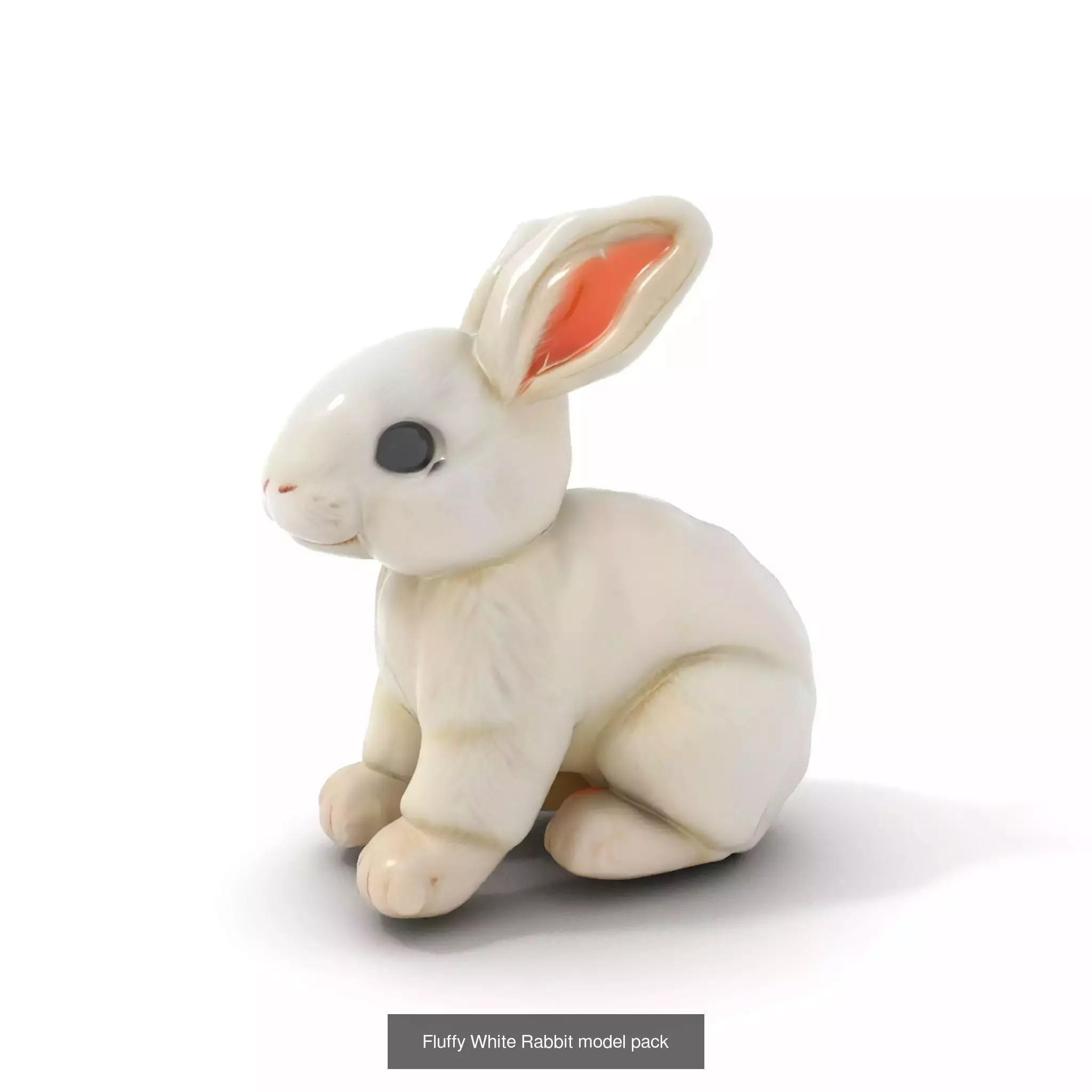 Opulent Elegance Collection _15