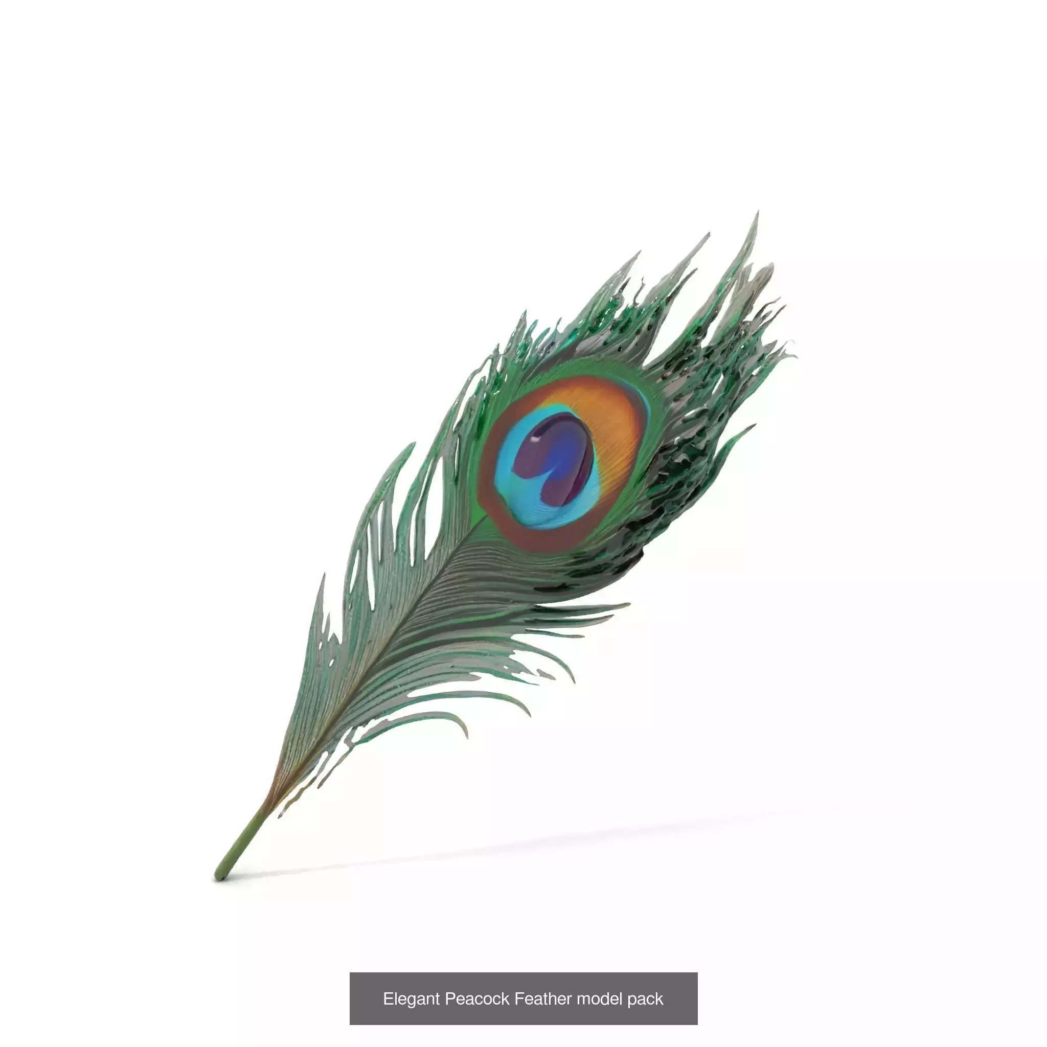 Opulent Elegance Collection _13